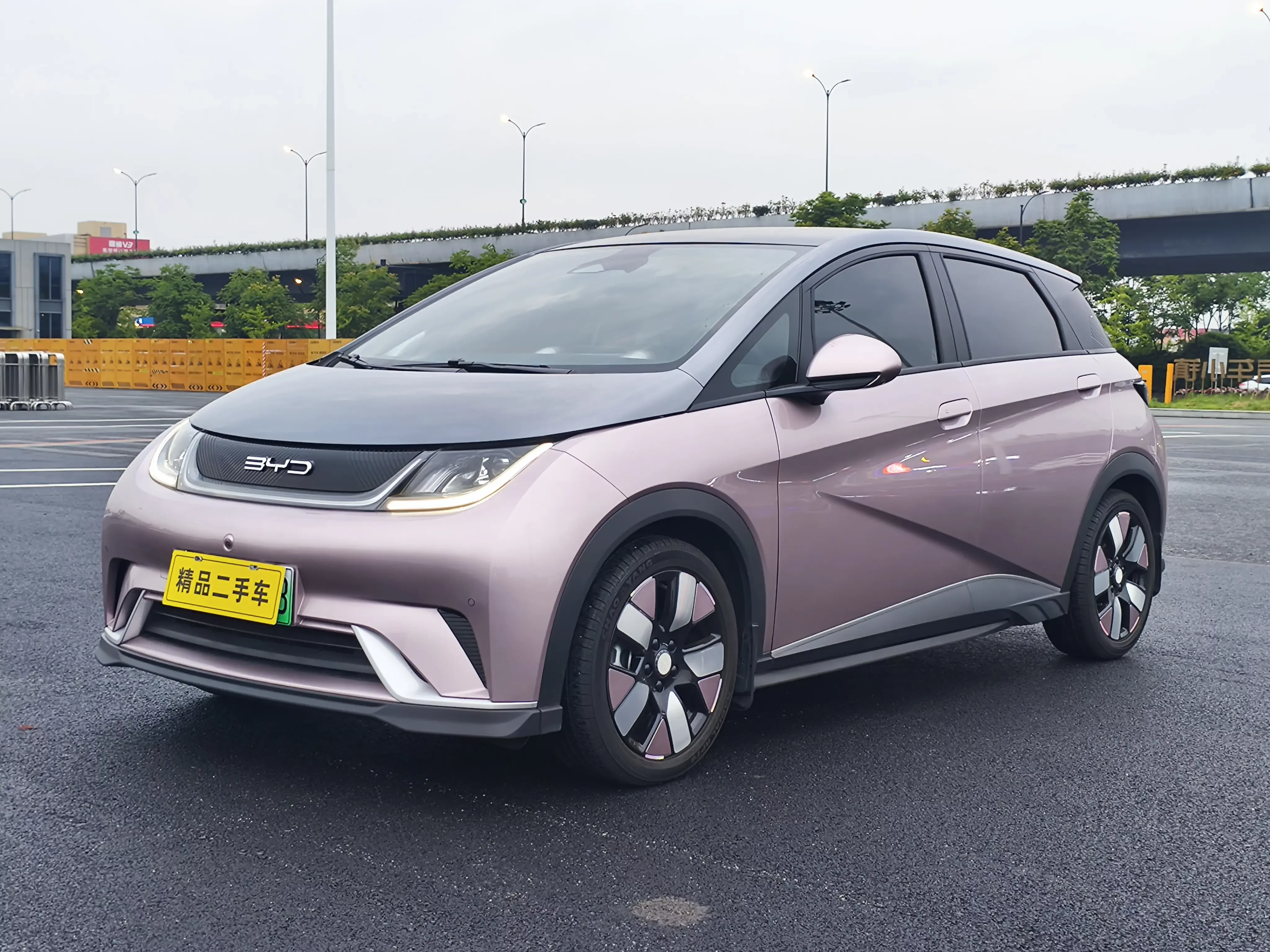 BYD dolphin