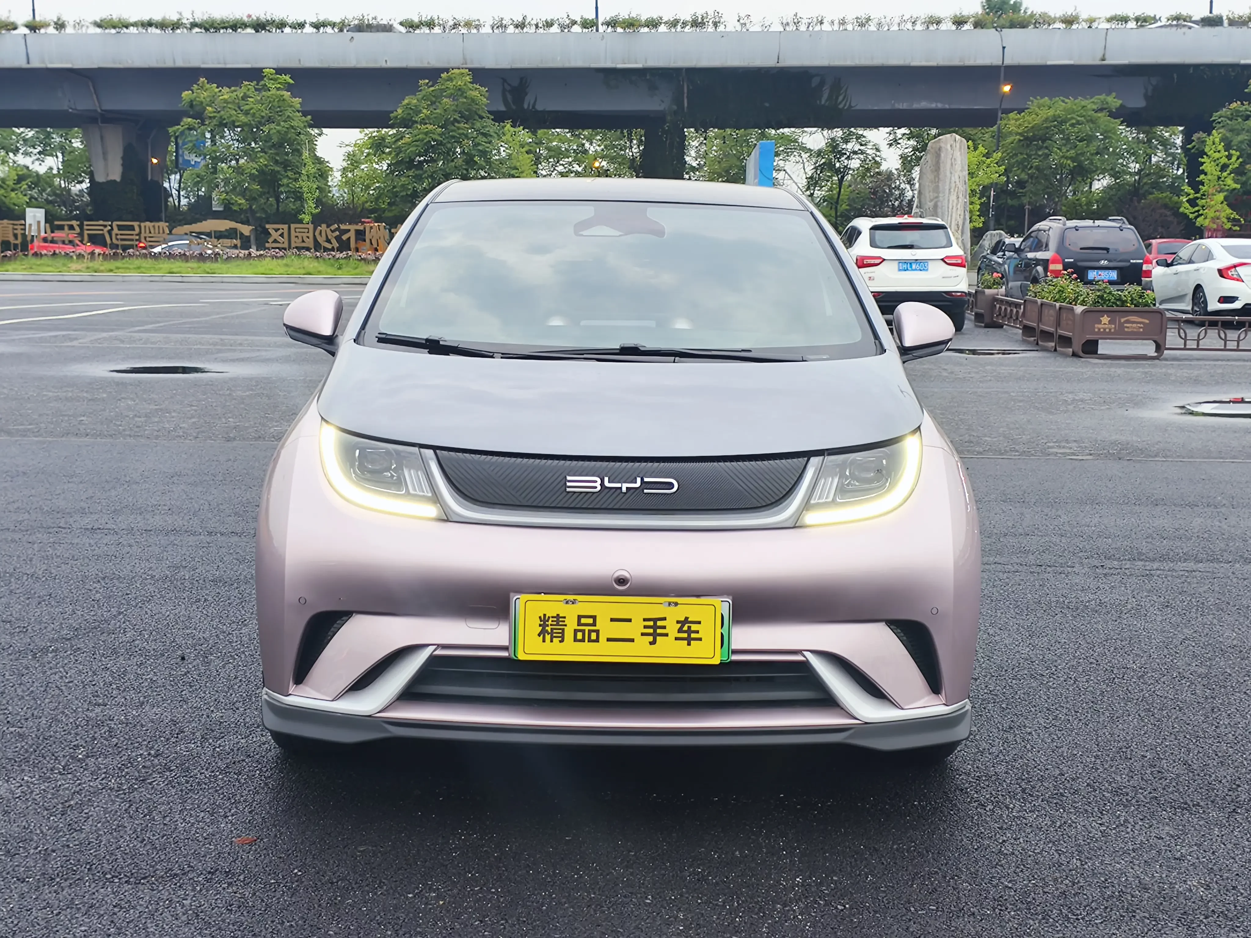 BYD dolphin
