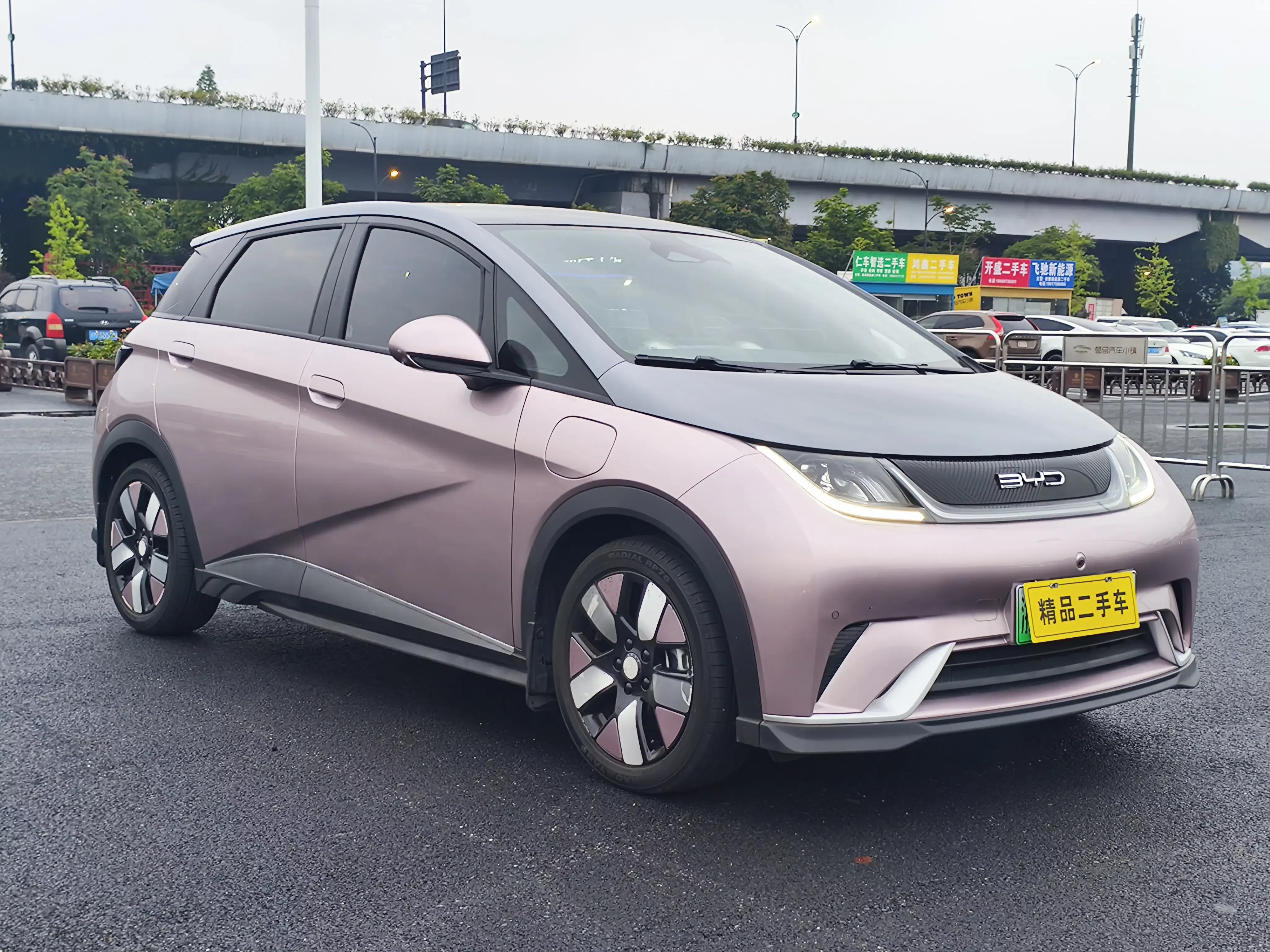 BYD dolphin