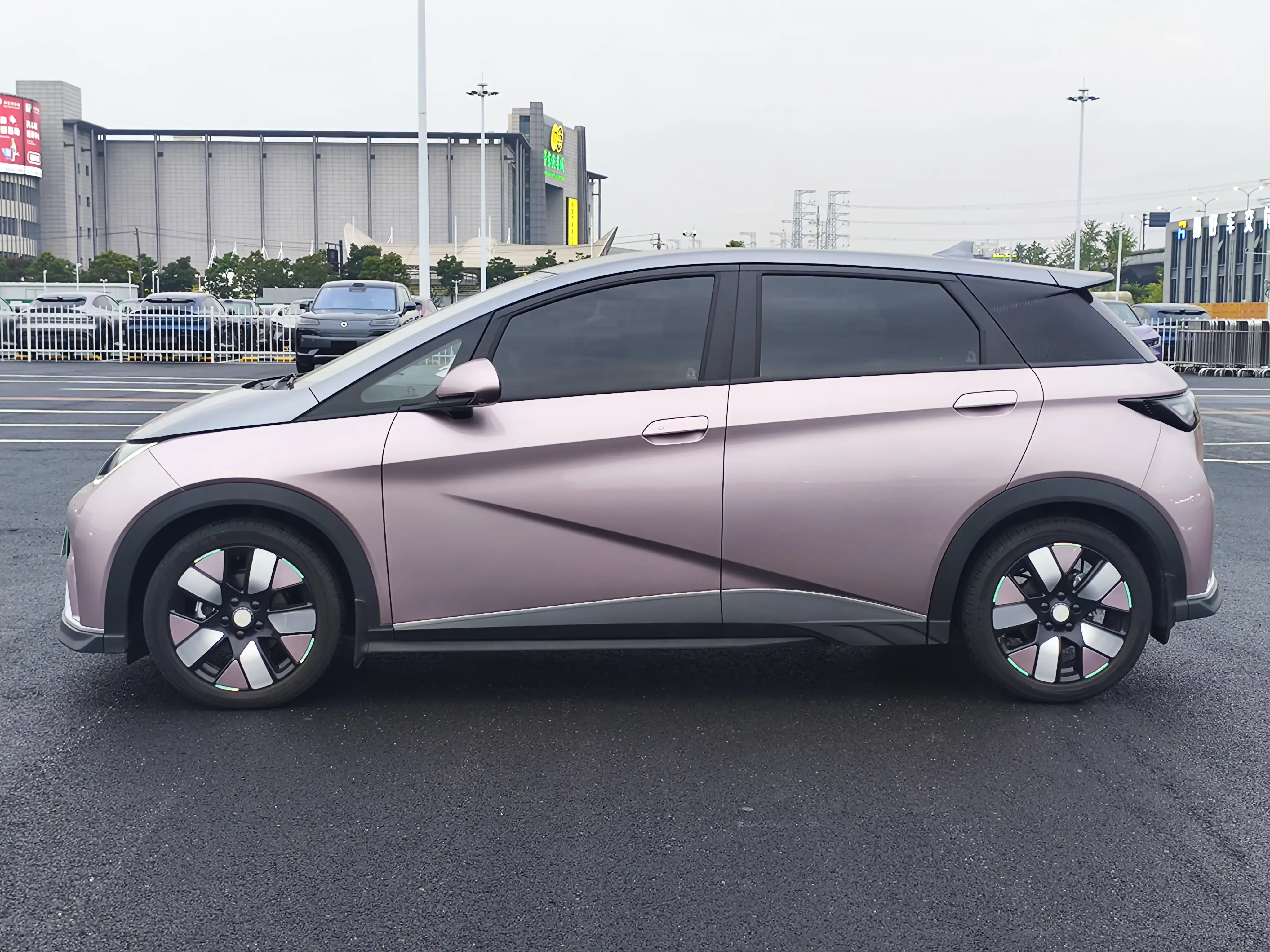 BYD dolphin