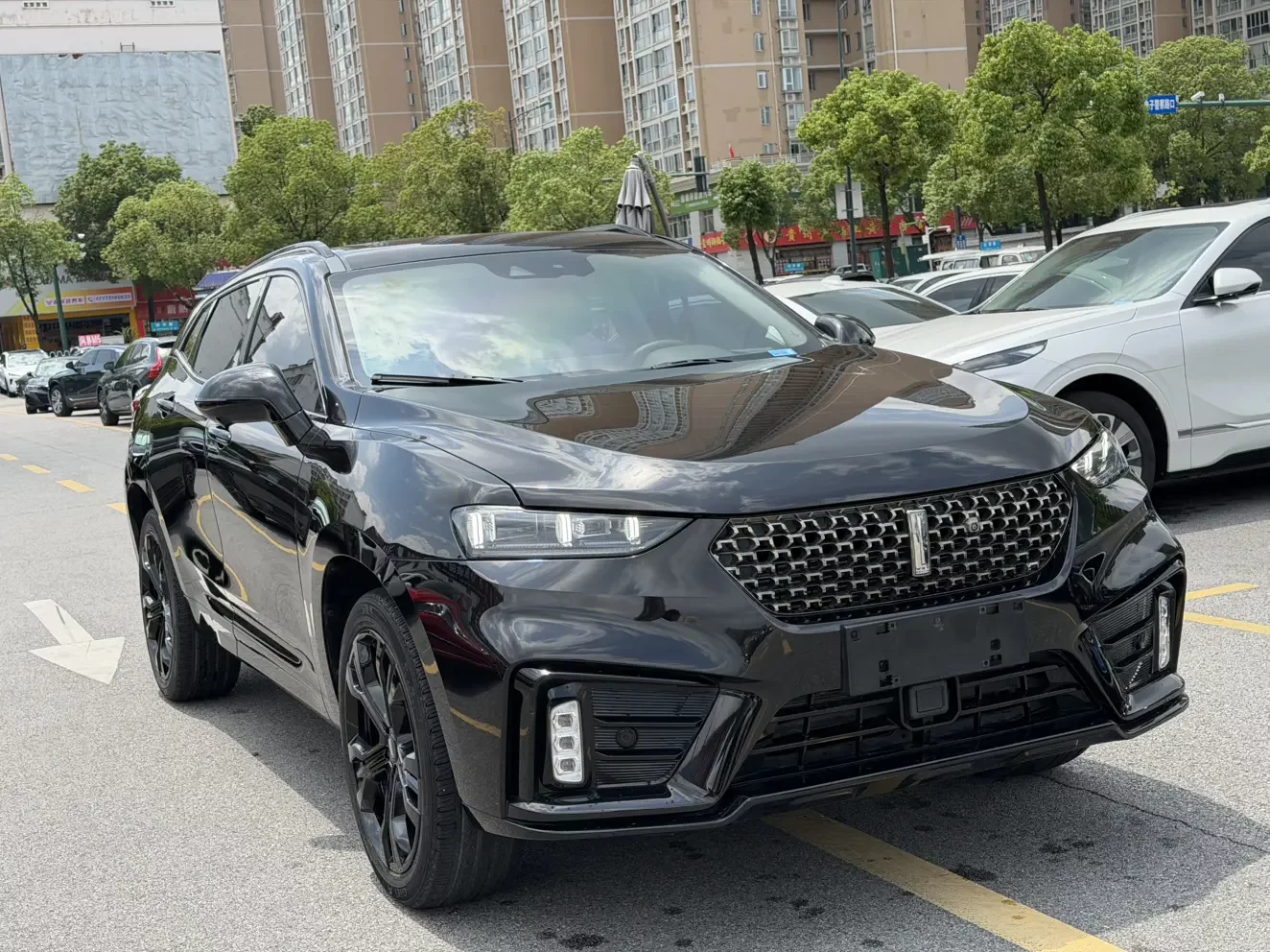 Wey Wei brand VV7