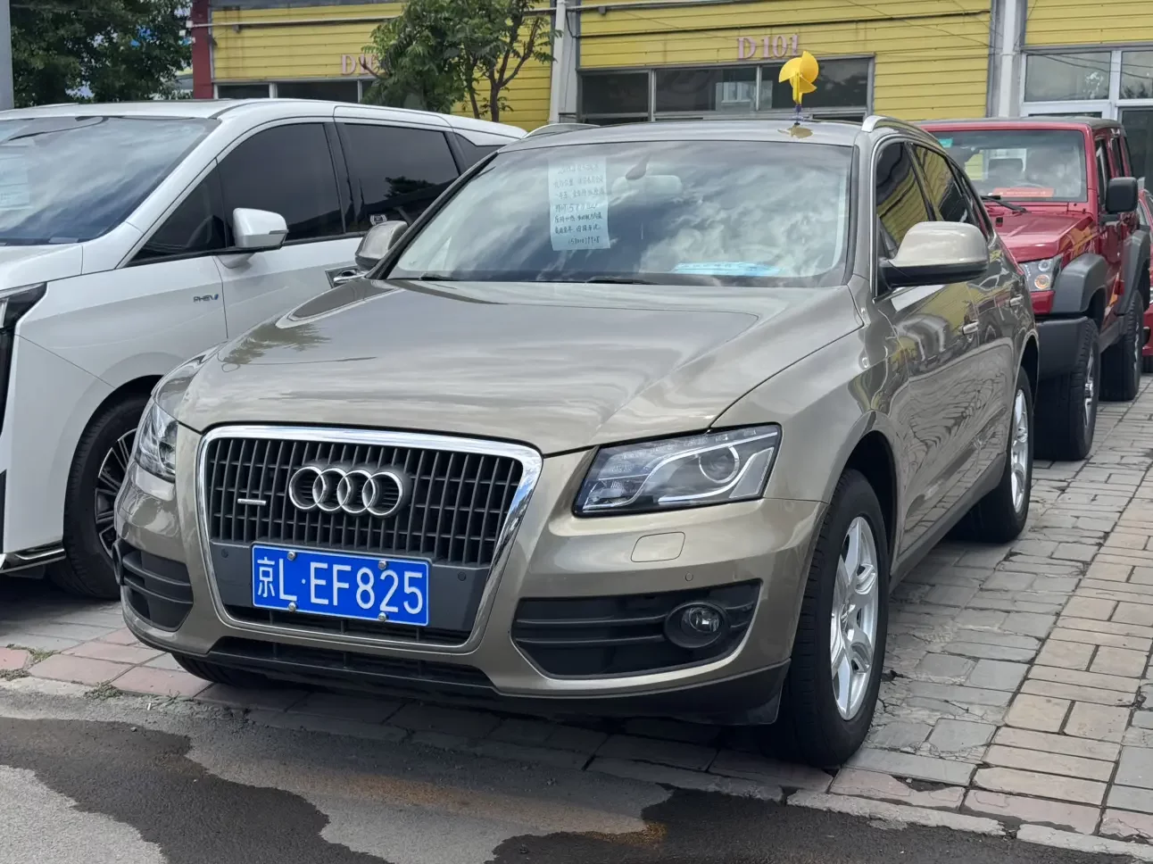 Audi Q5