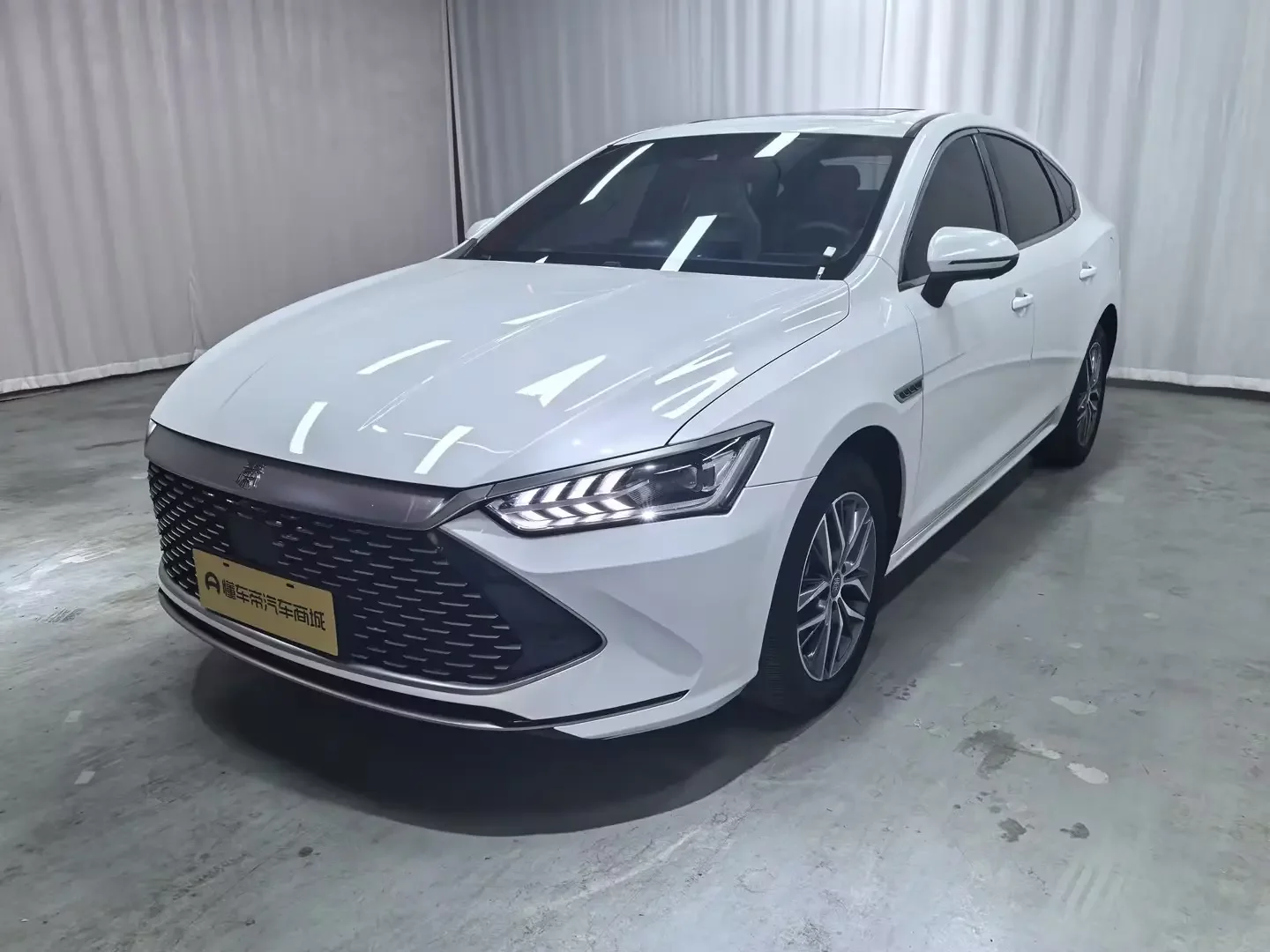 BYD Qin PLUS DM