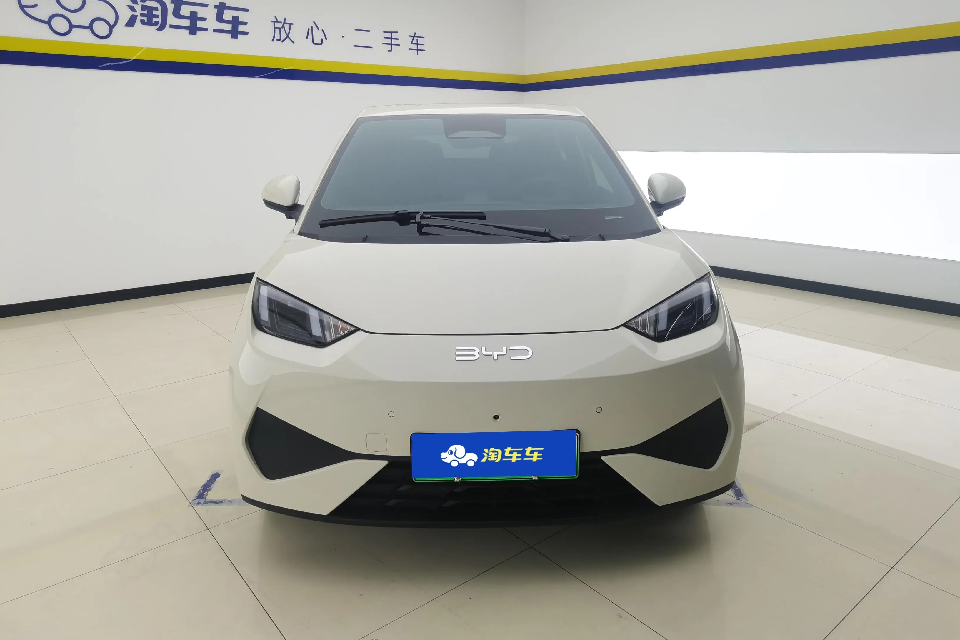 BYD seagull
