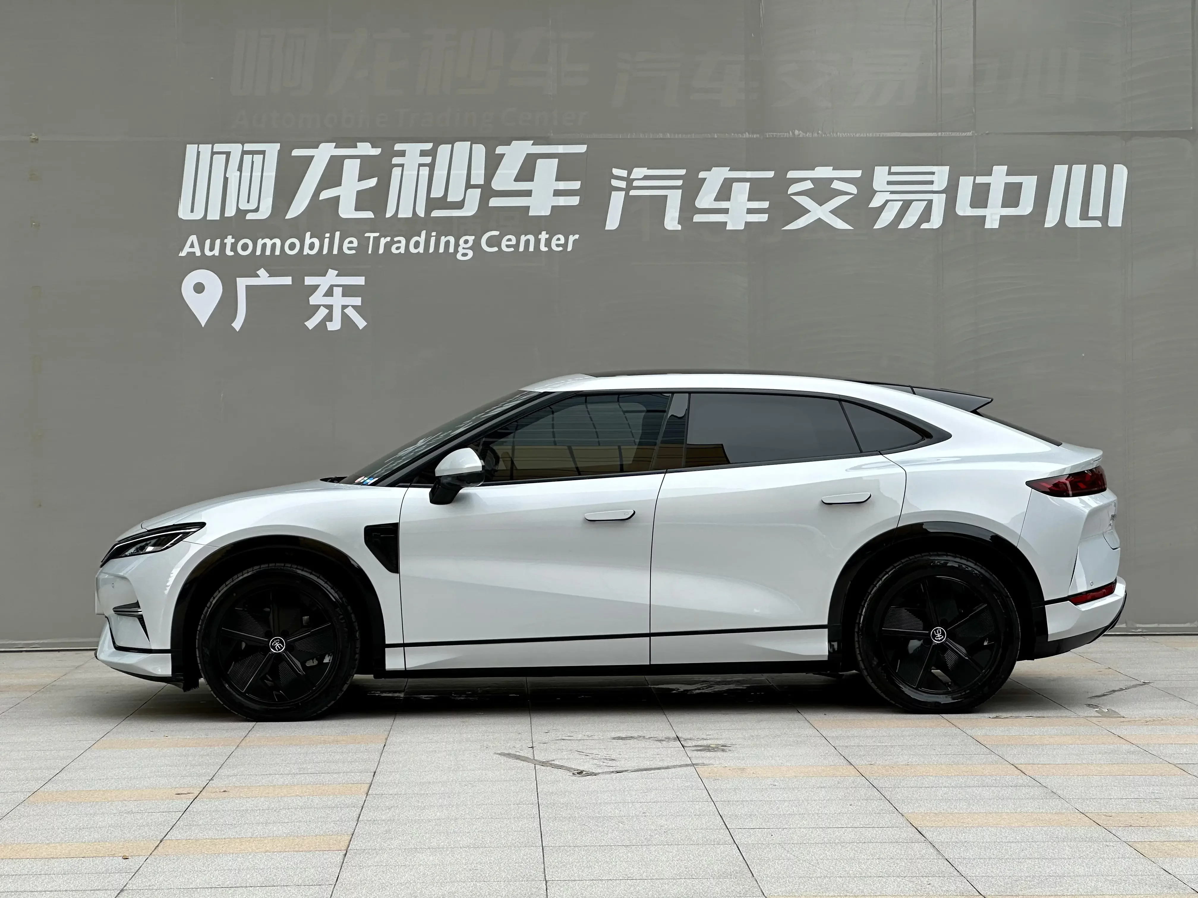 BYD Song L EV