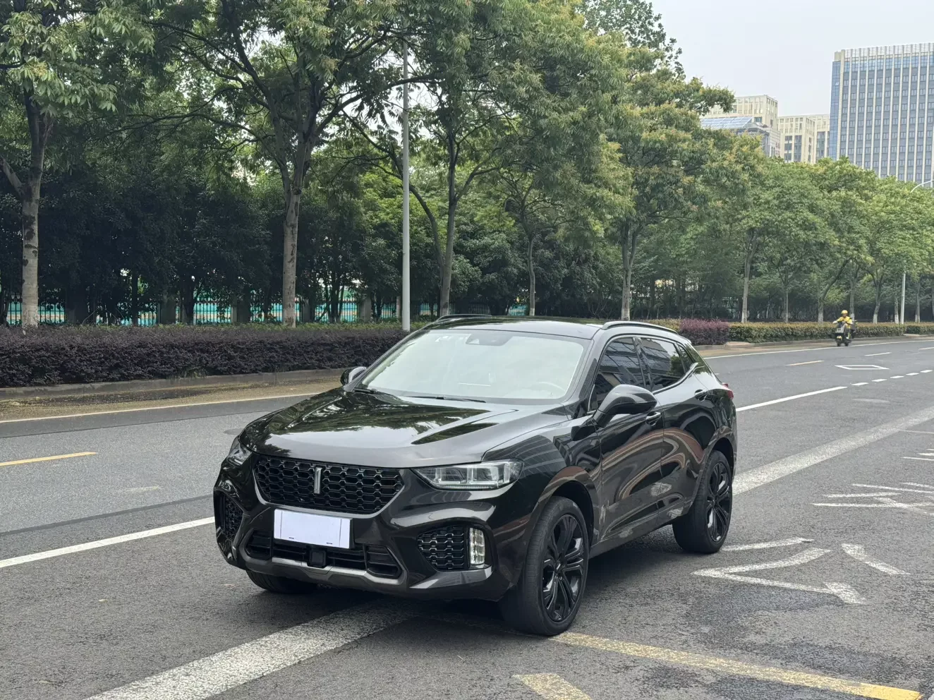 Wey Wei brand VV5