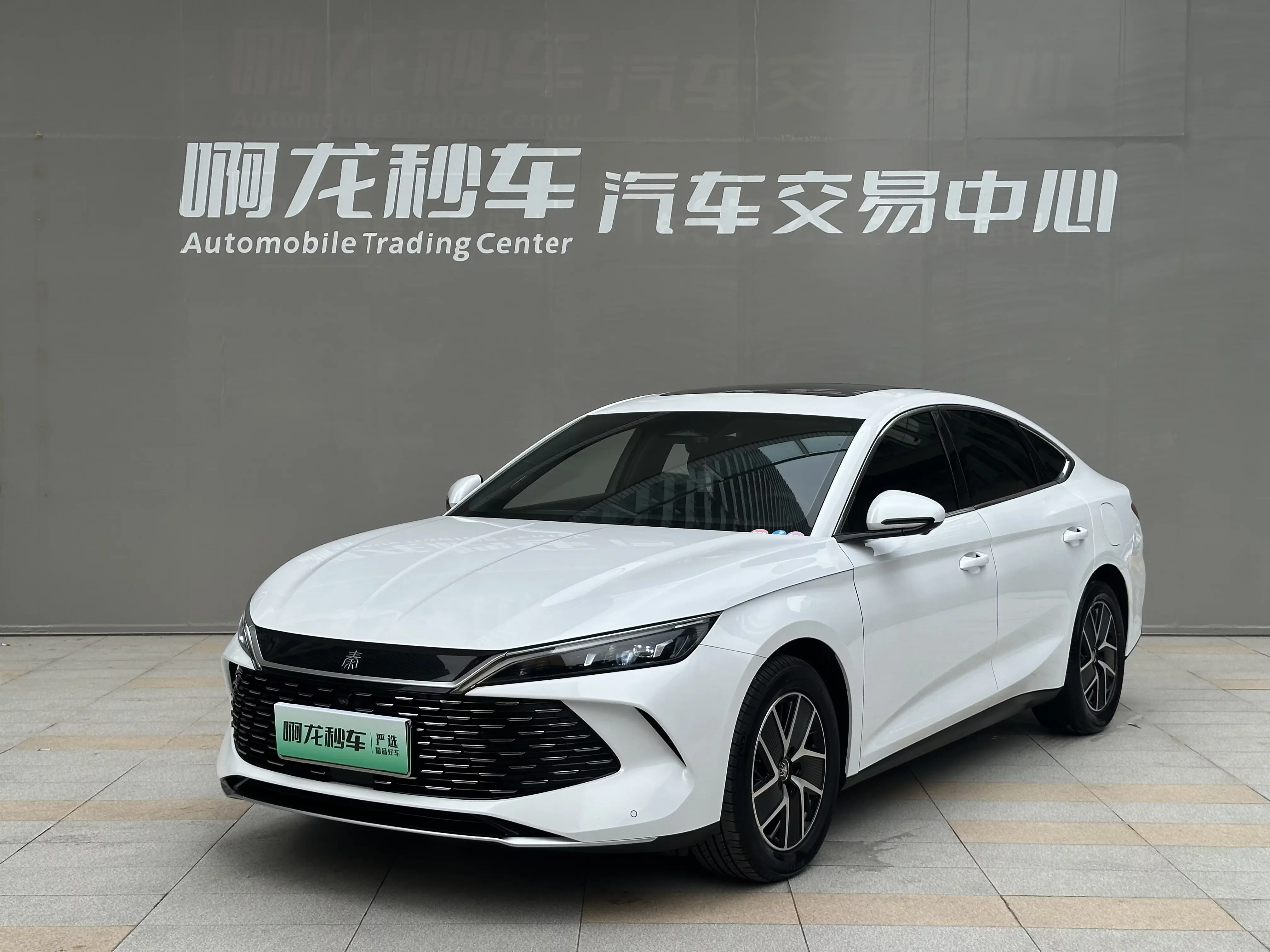 BYD Qin L DM