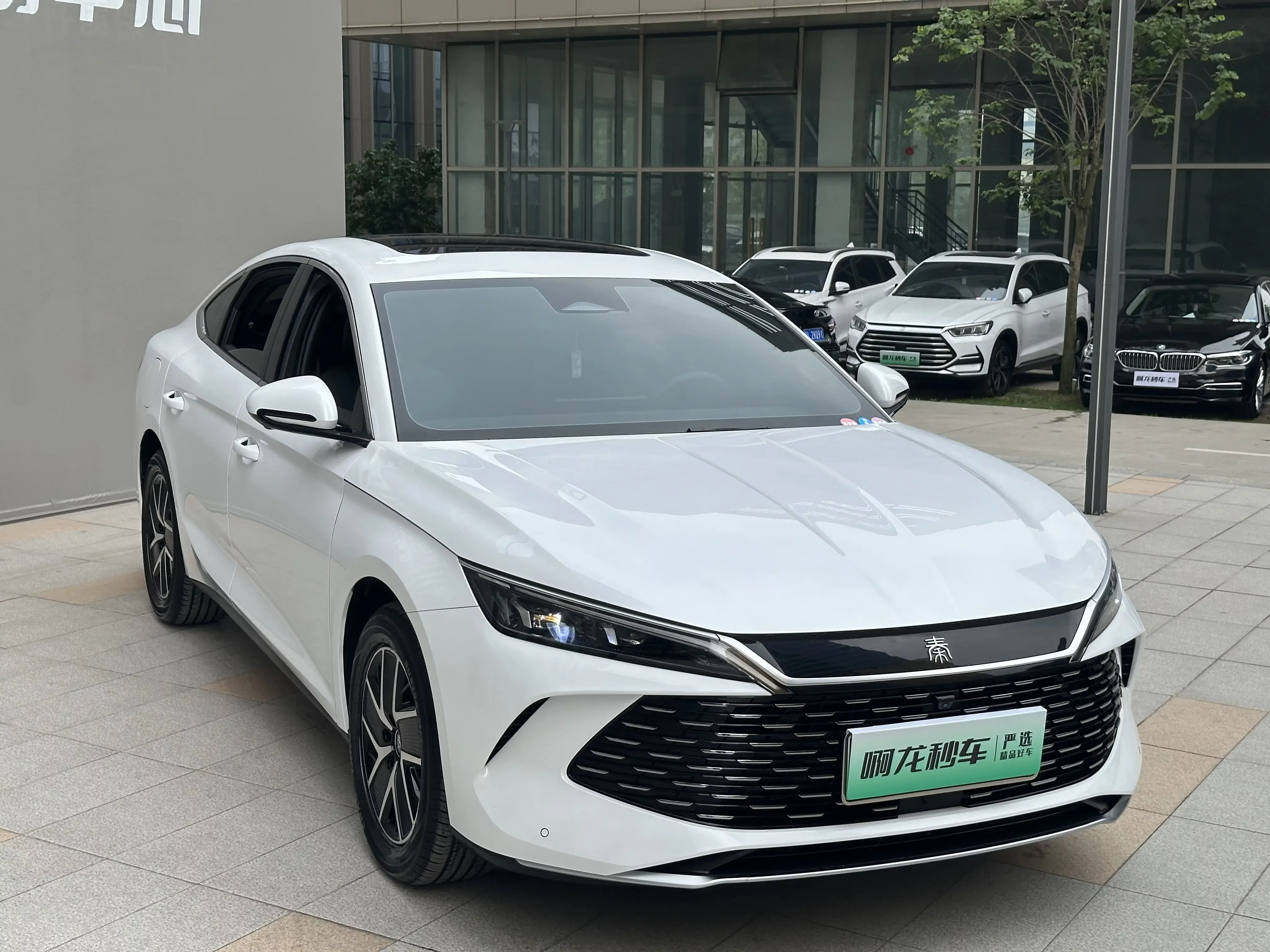 BYD Qin L DM