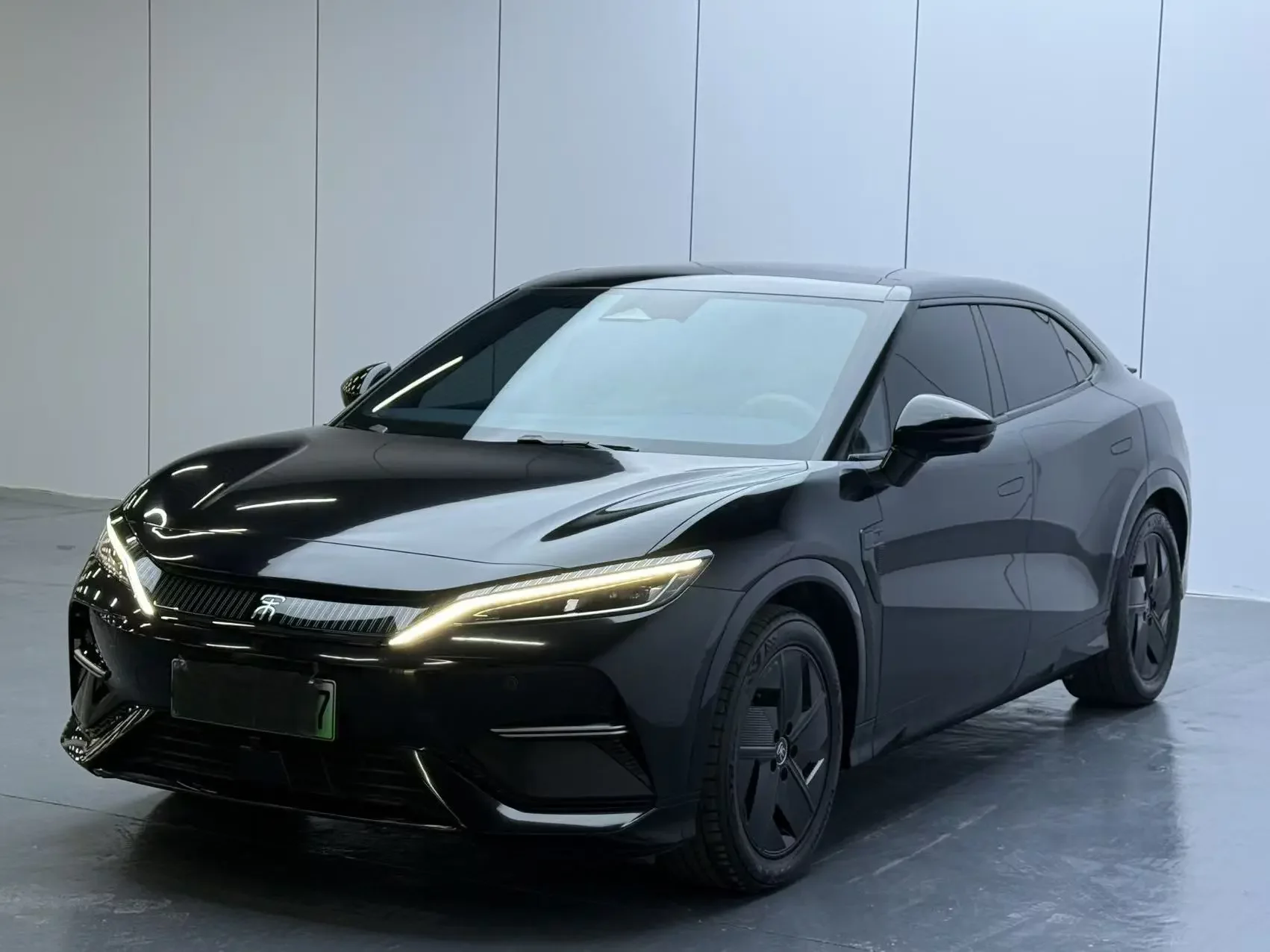 BYD Song L EV