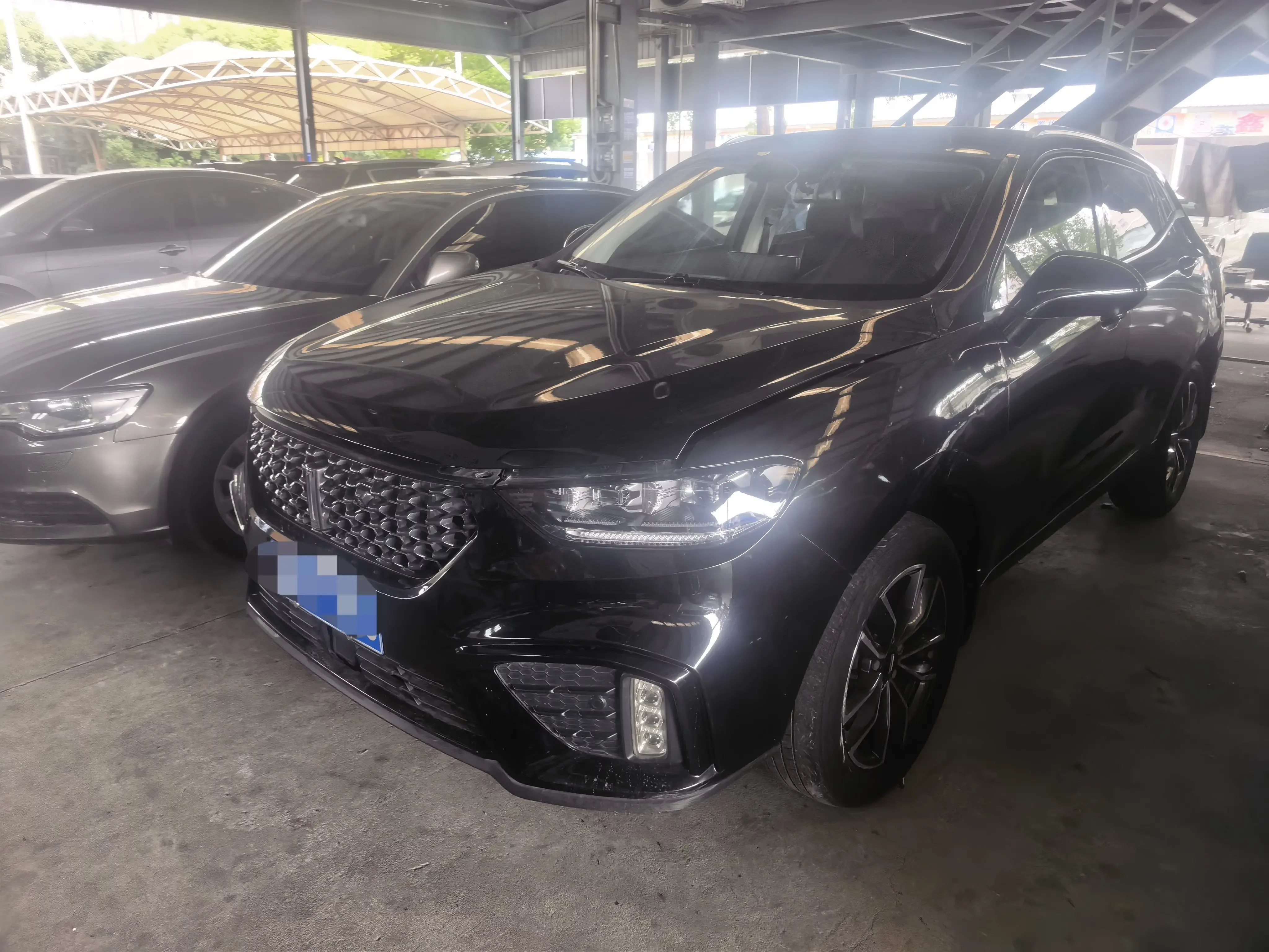 Wey Wei brand VV5