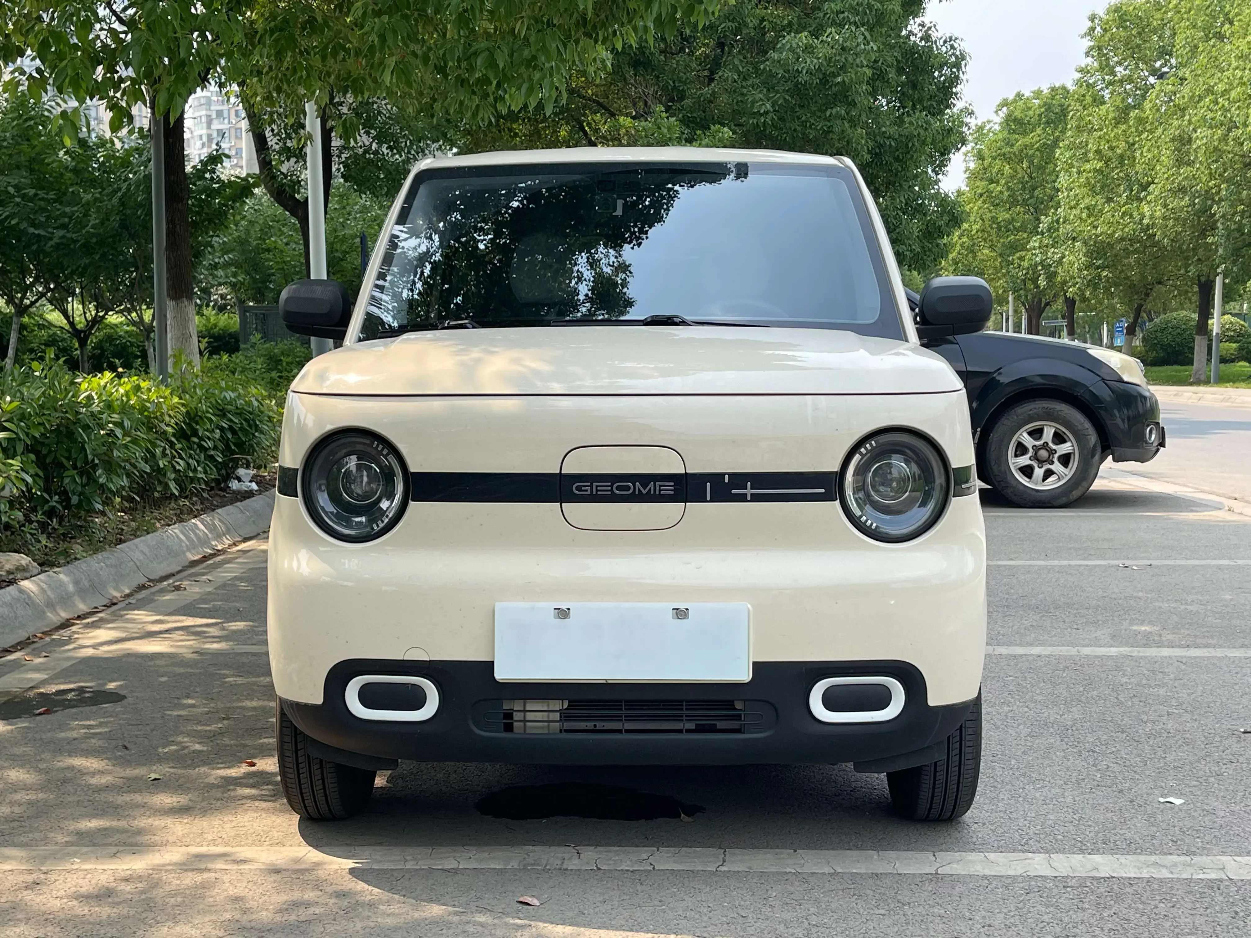 Geely panda