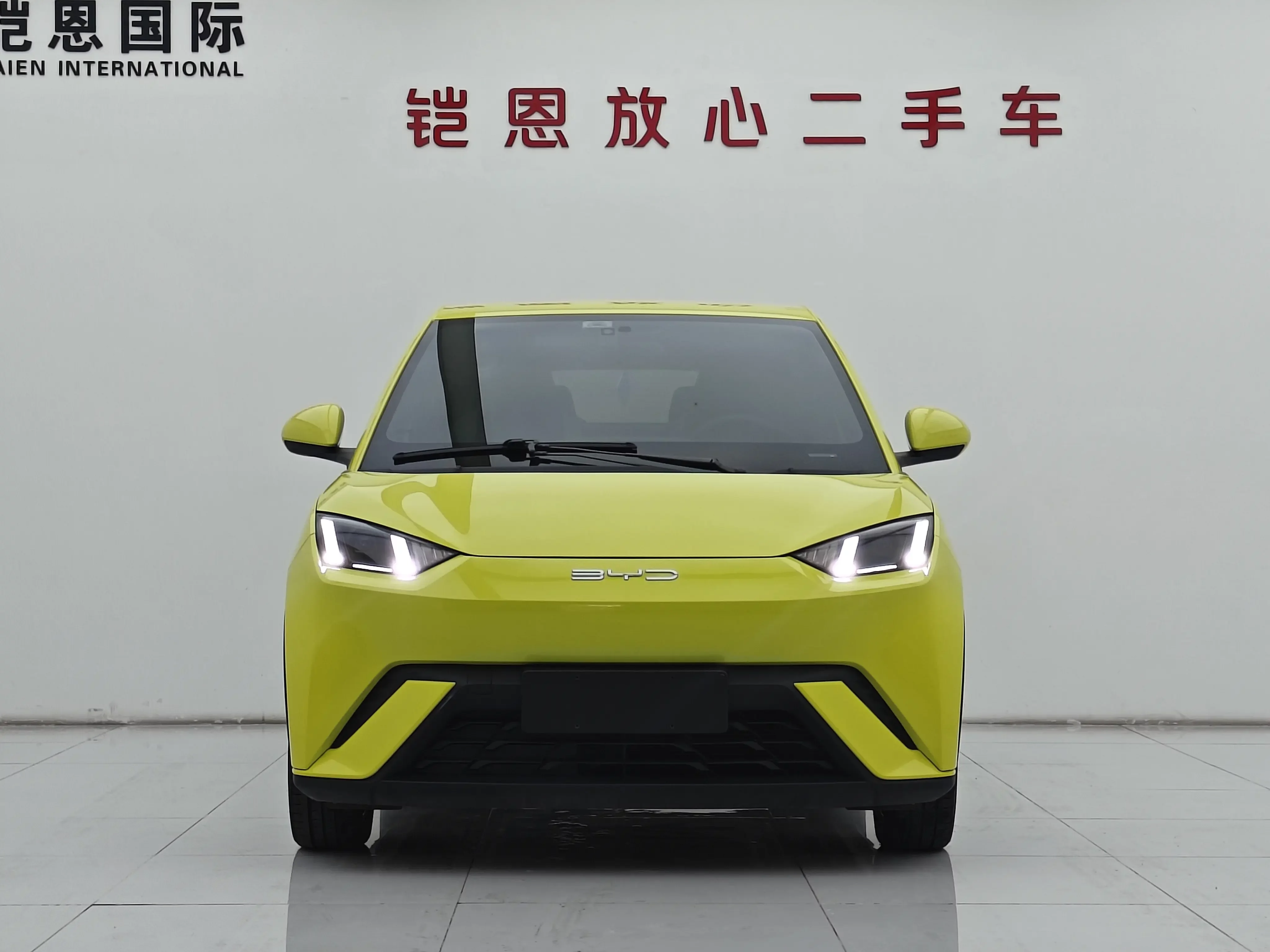 BYD seagull