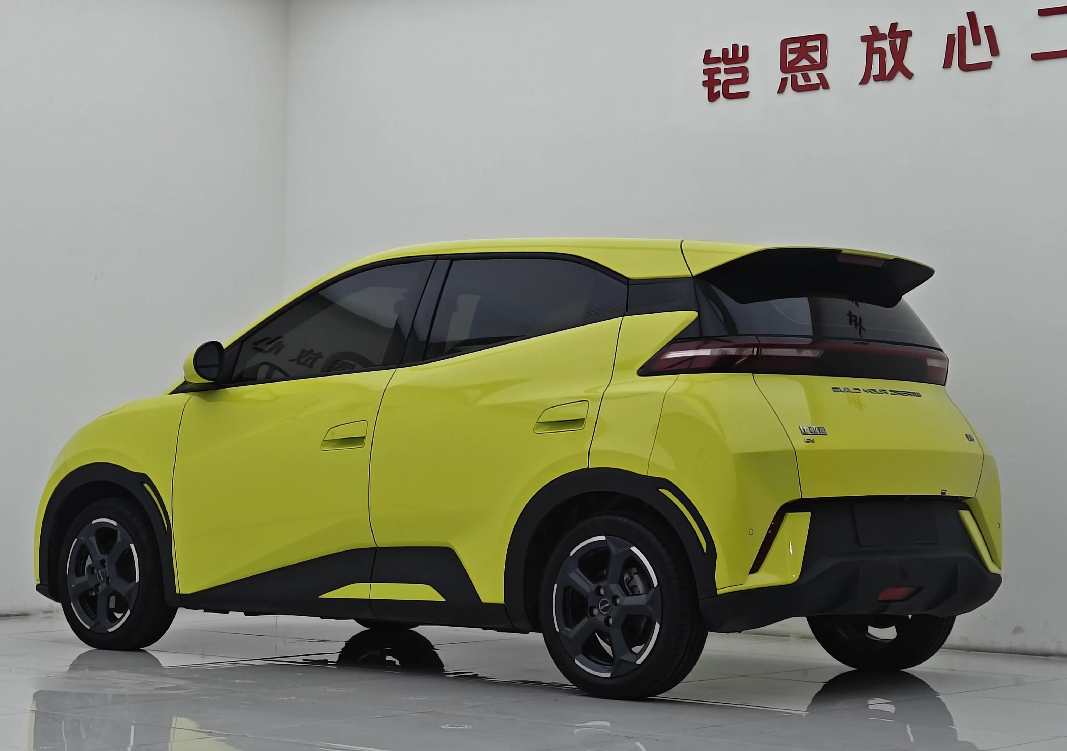 BYD seagull