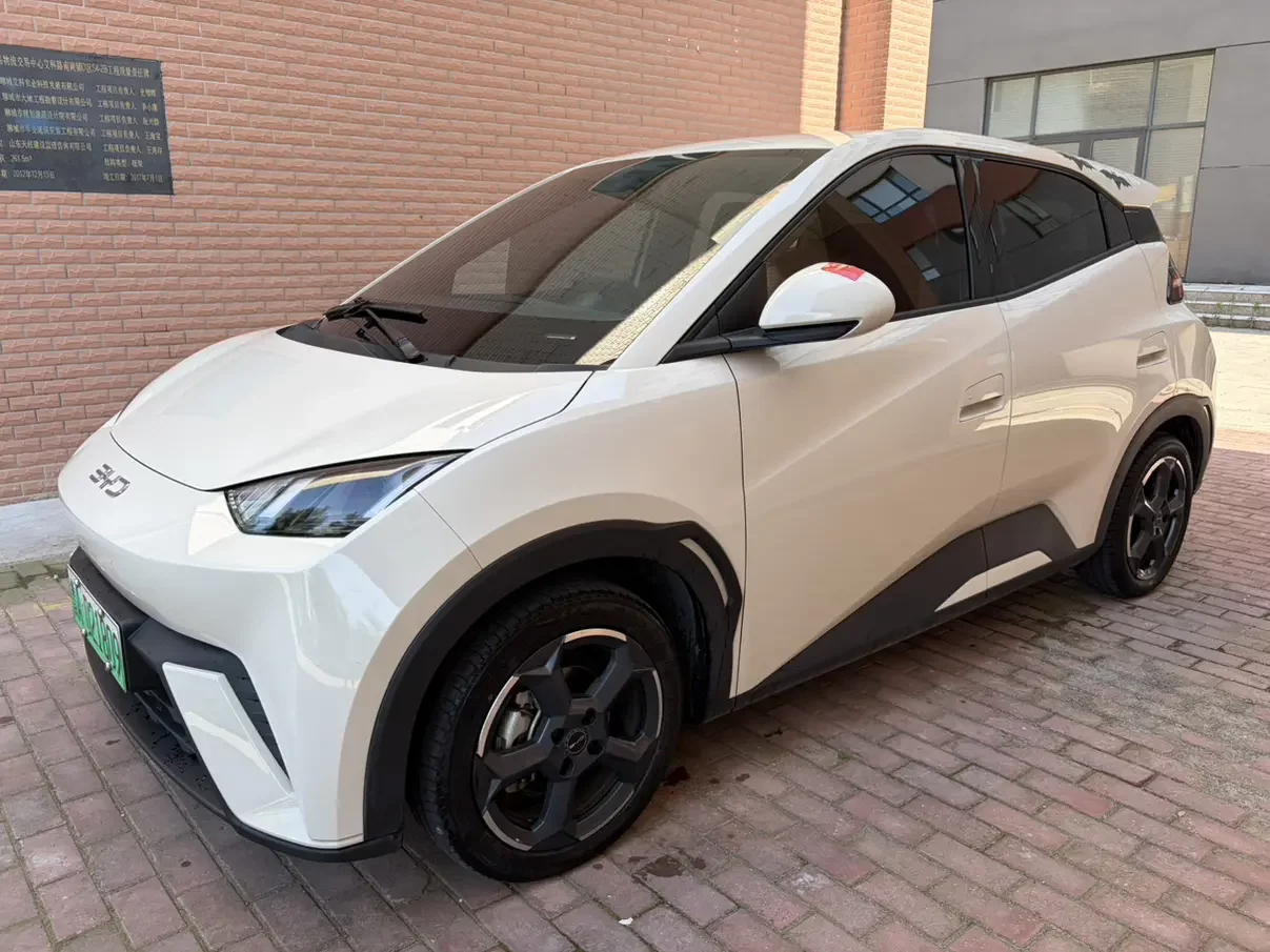 BYD seagull