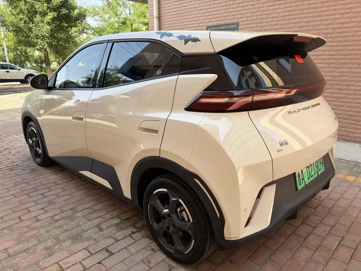 BYD seagull