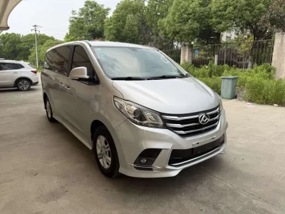 Datong Maxus G10