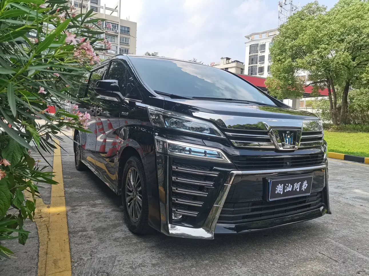 Toyota Crown Wellfire