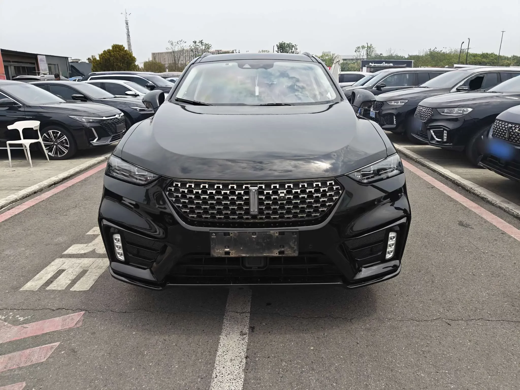 Wey Wei brand VV7
