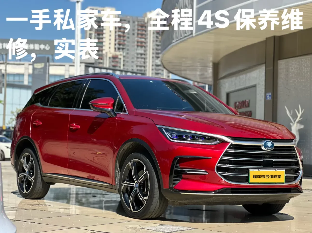 BYD Tang DM