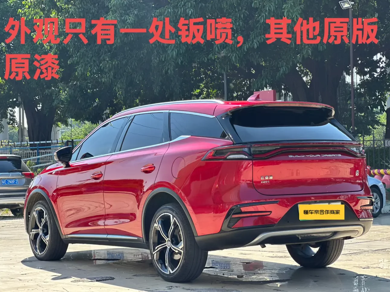 BYD Tang DM