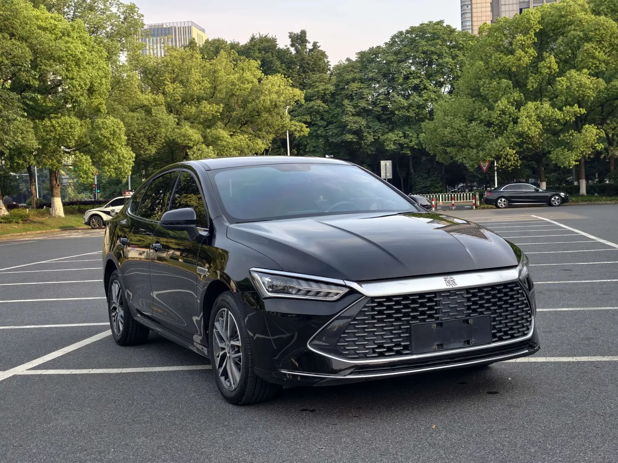 BYD Qin PLUS DM