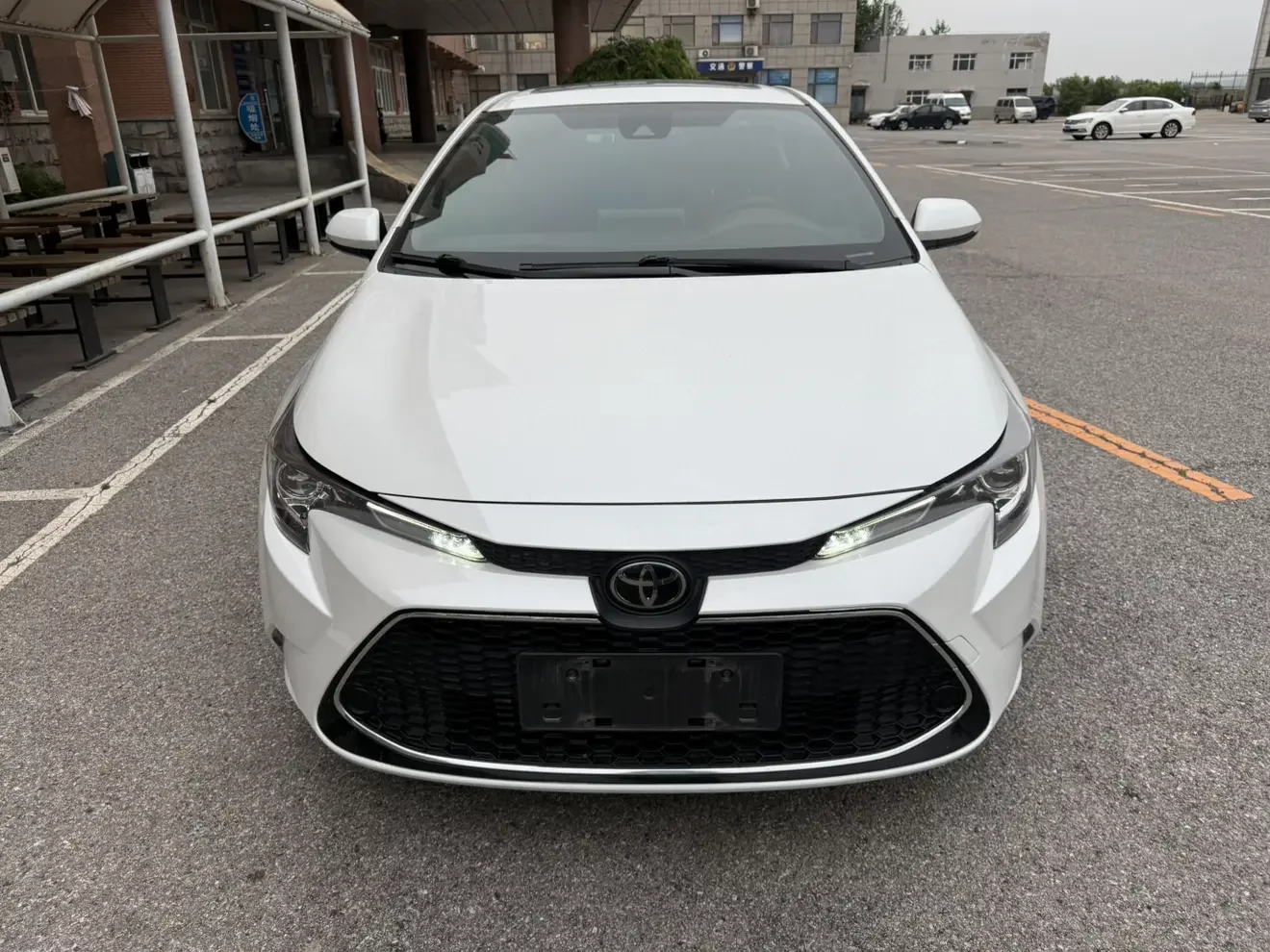 Toyota Levin