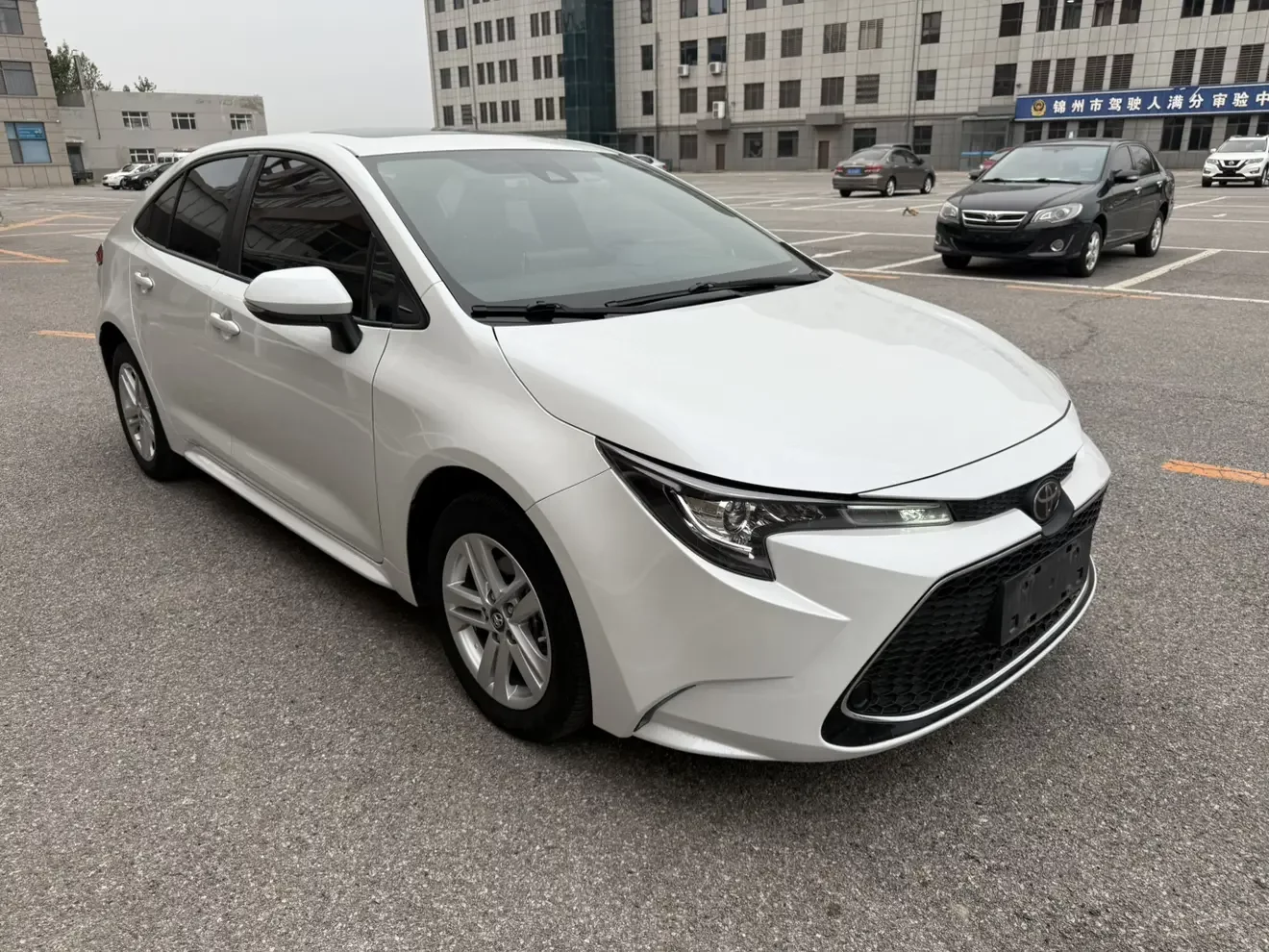 Toyota Levin