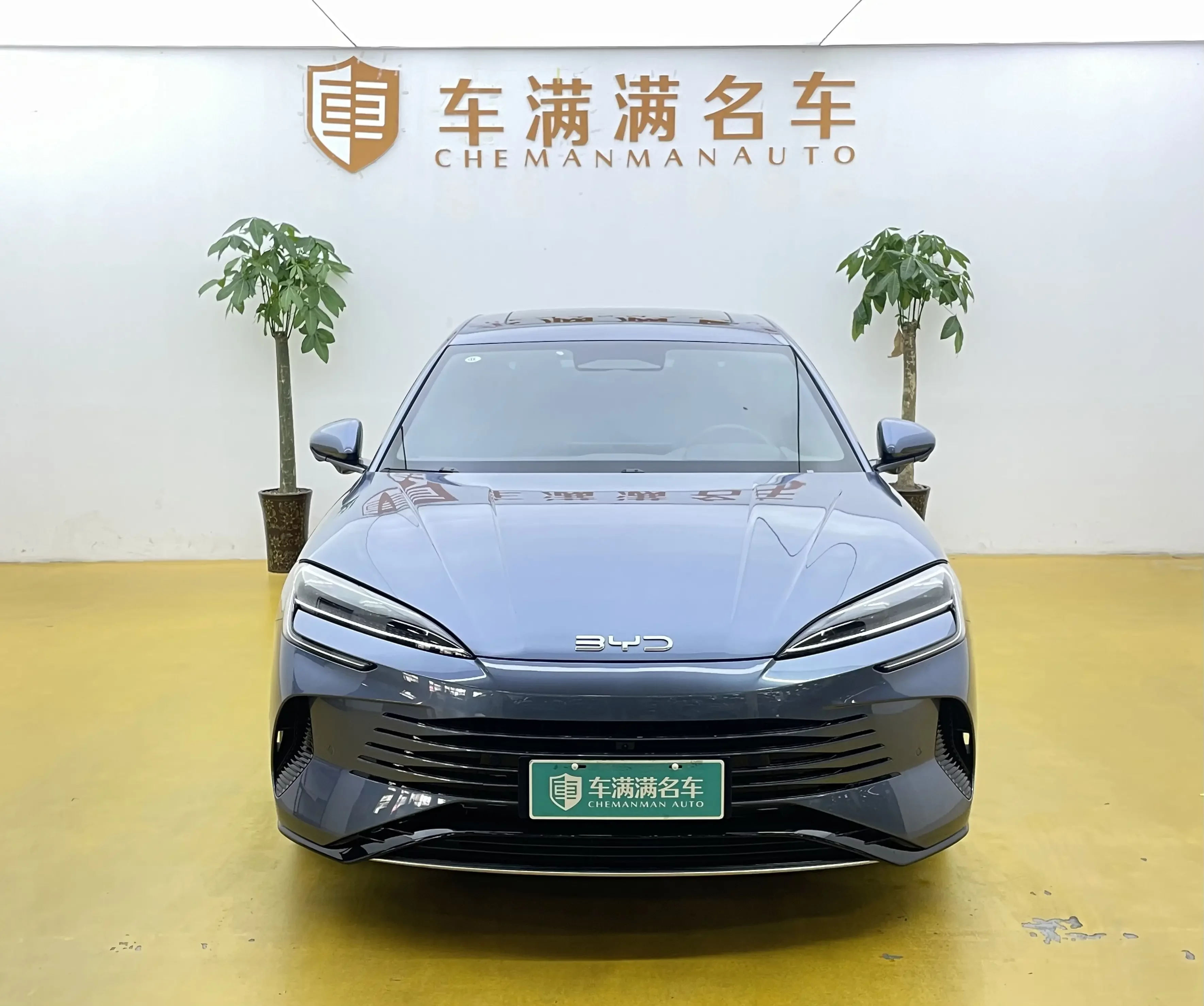 BYD Seal 07DM