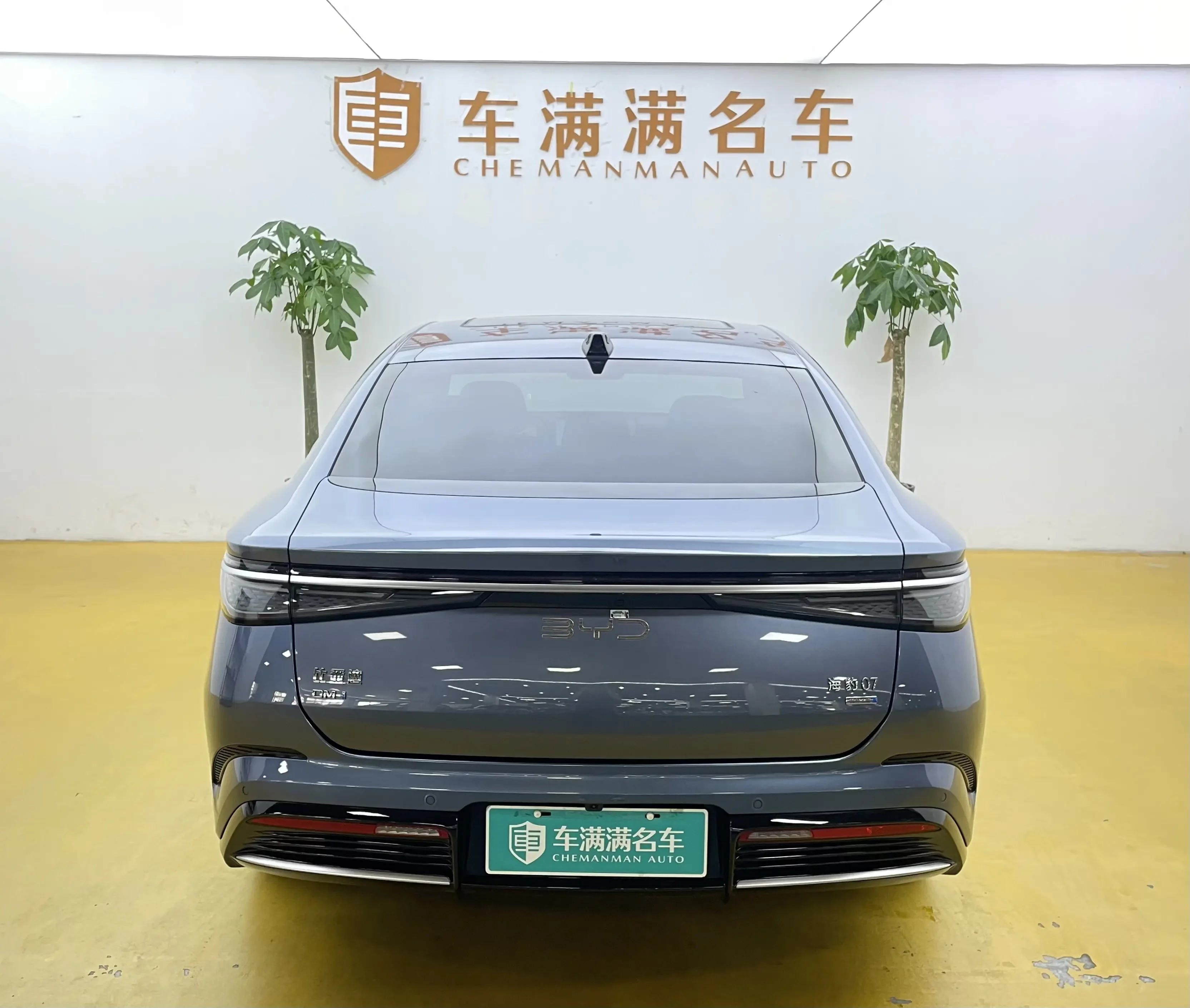 BYD Seal 07DM