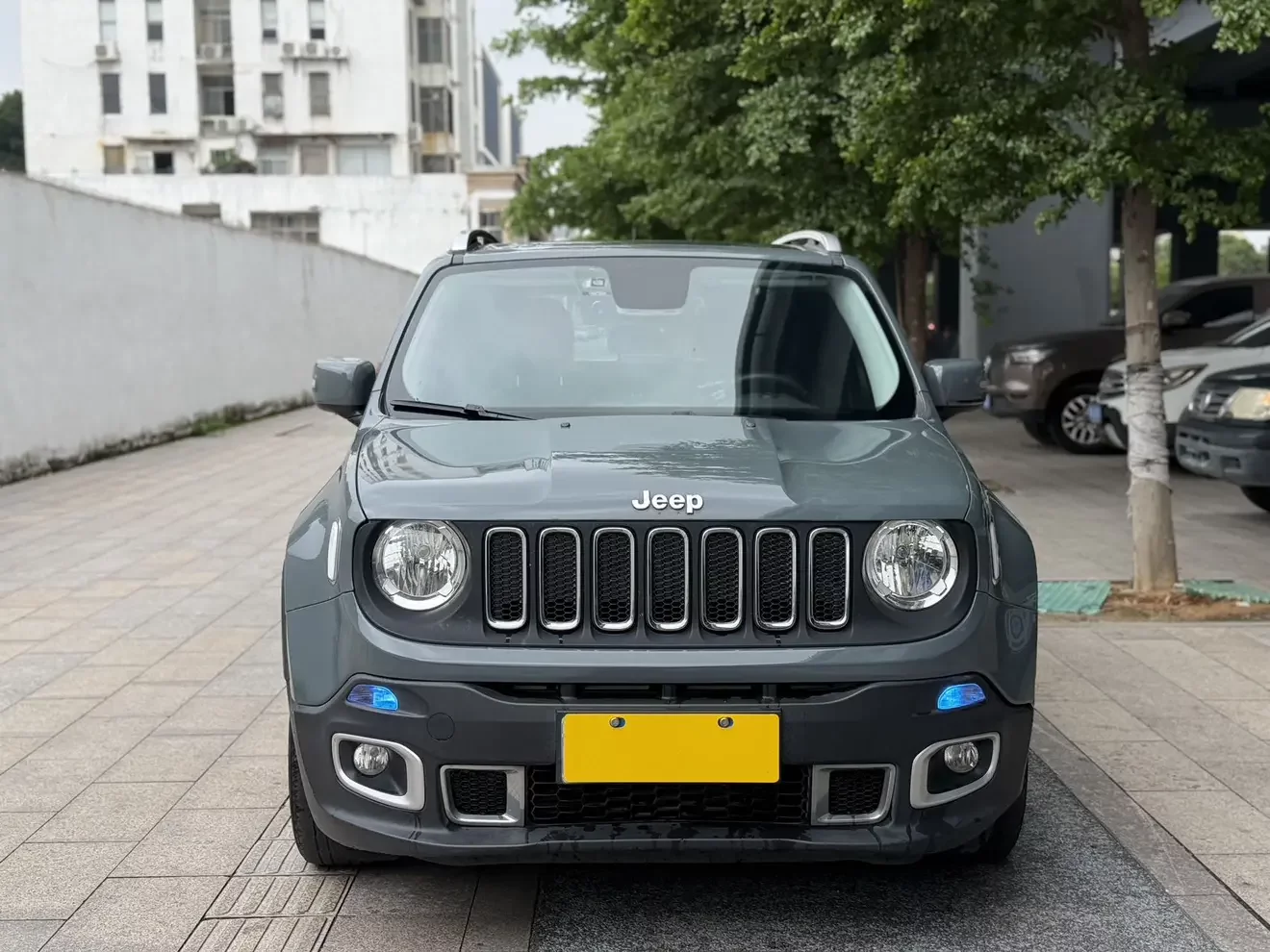Jeep Freeman