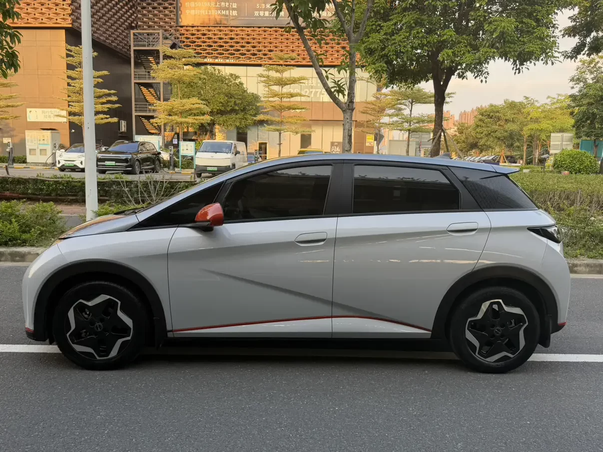 BYD dolphin