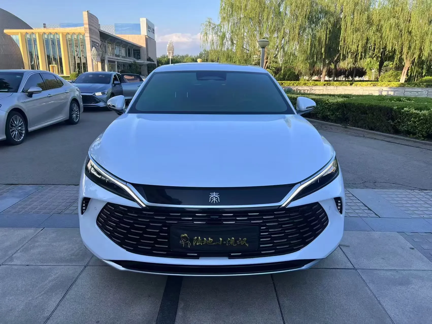 BYD Qin L DM