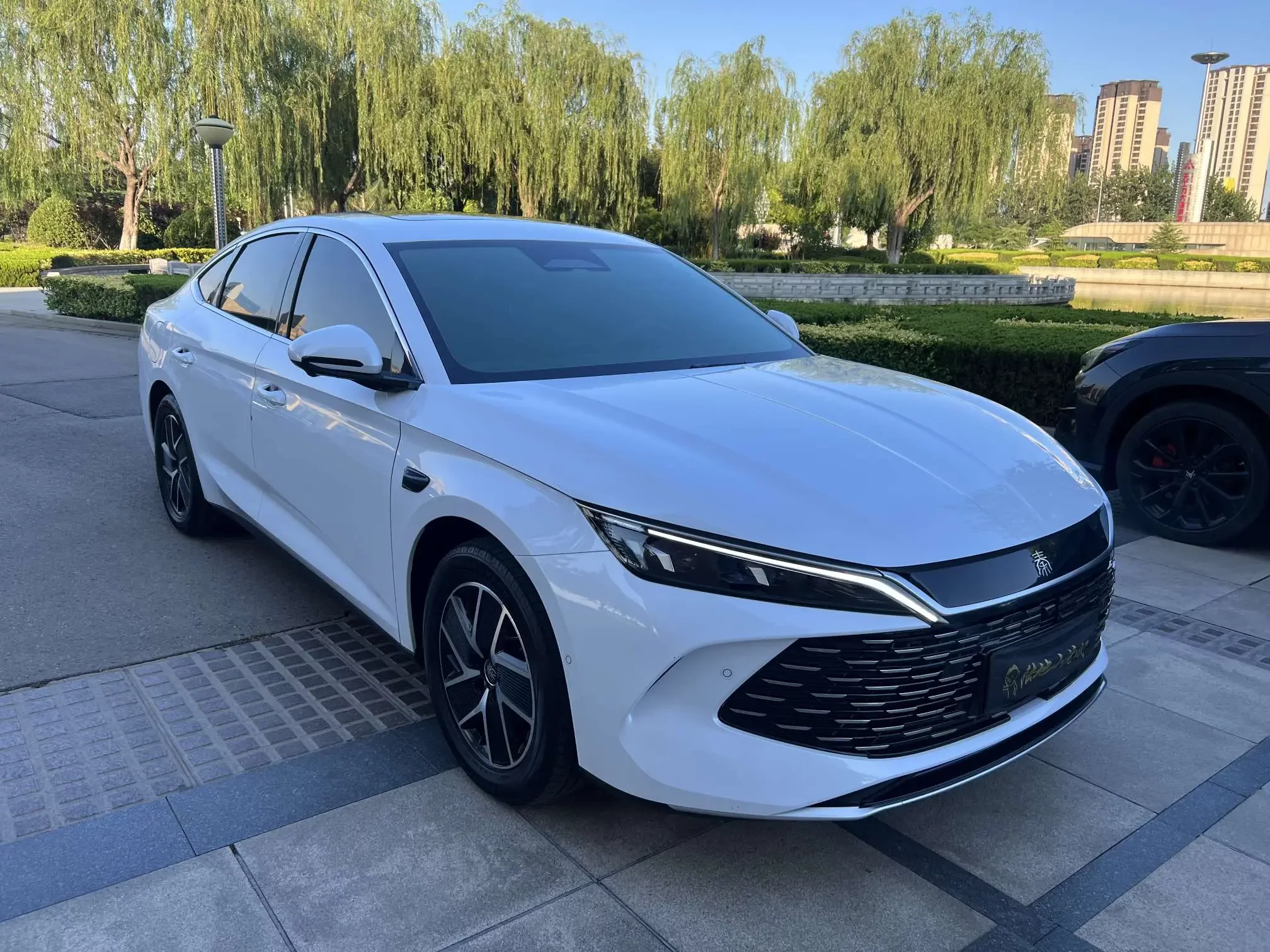 BYD Qin L DM