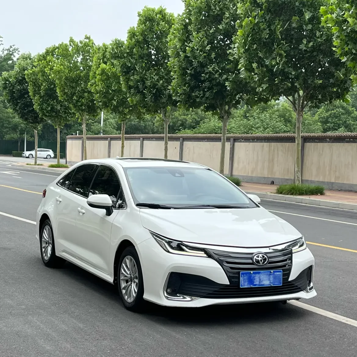 Toyota Asiatic lion