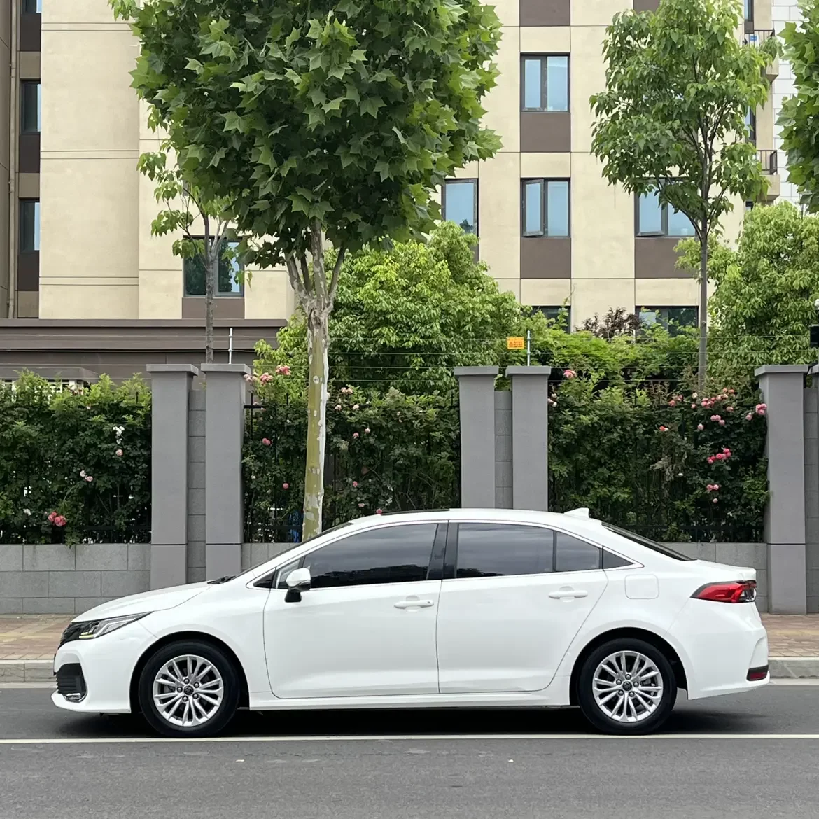 Toyota Asiatic lion