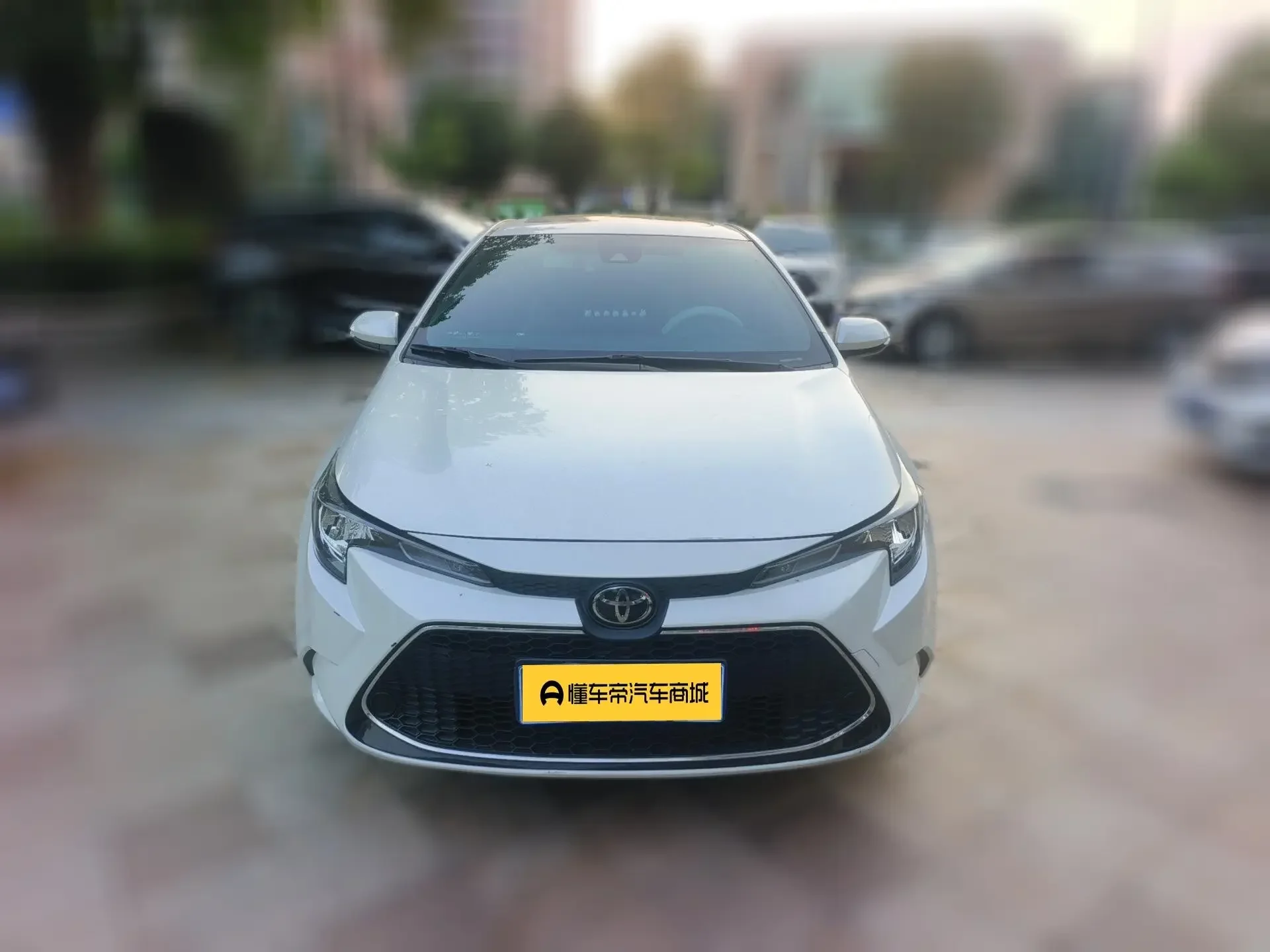 Toyota Levin