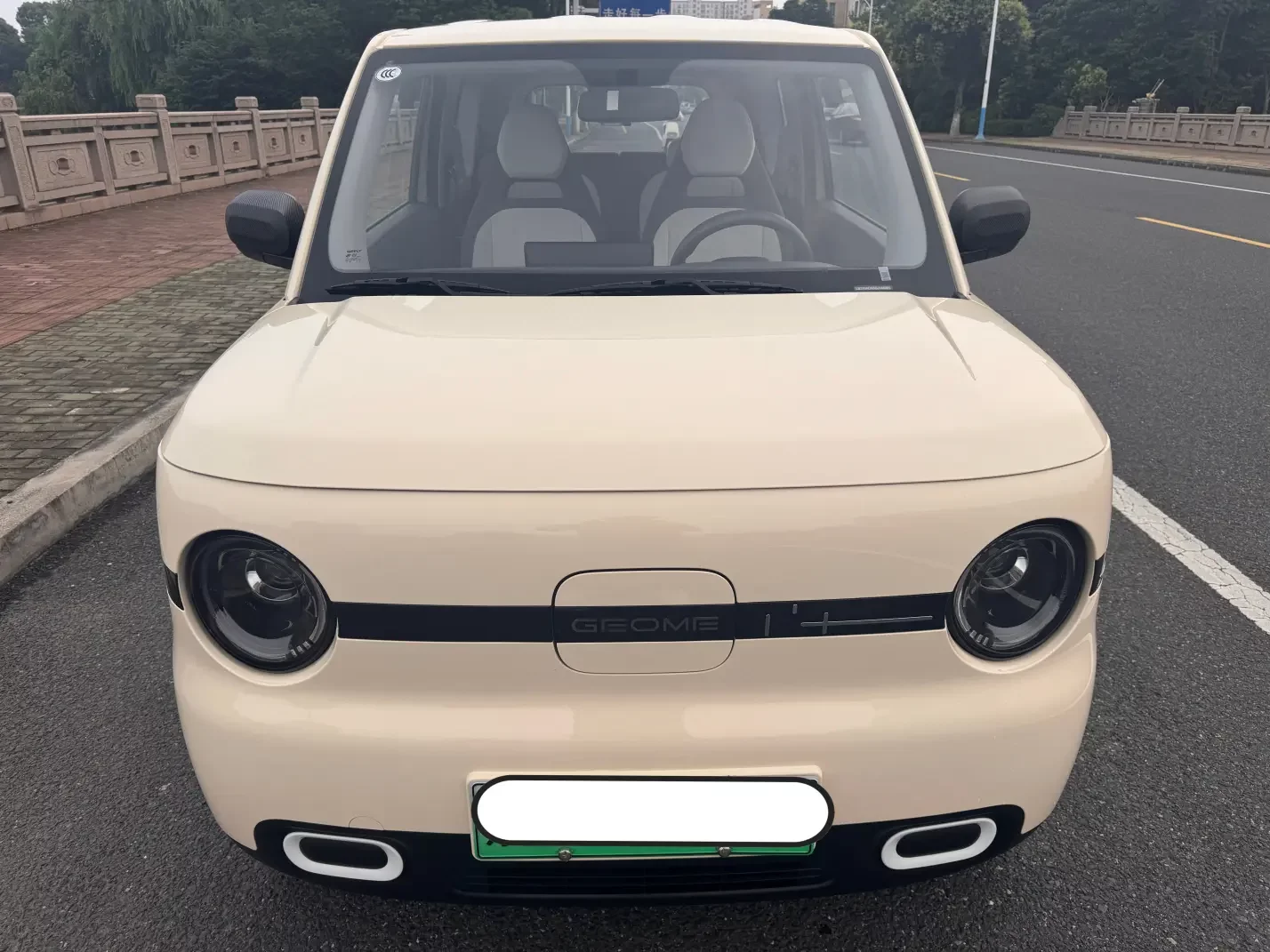 Geely panda