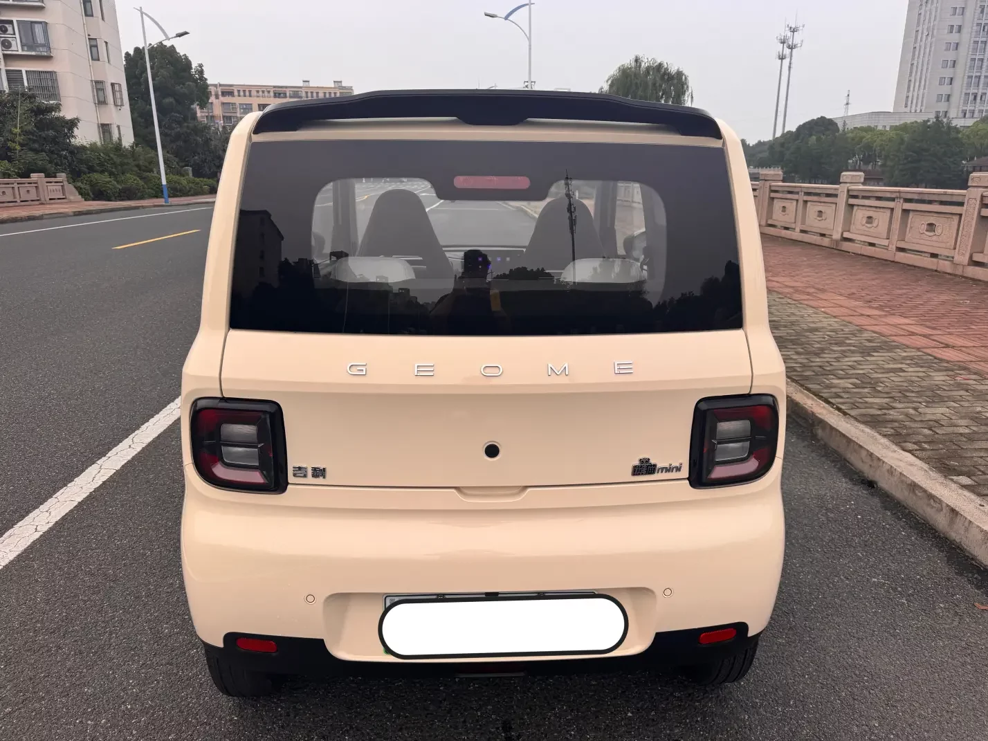 Geely panda