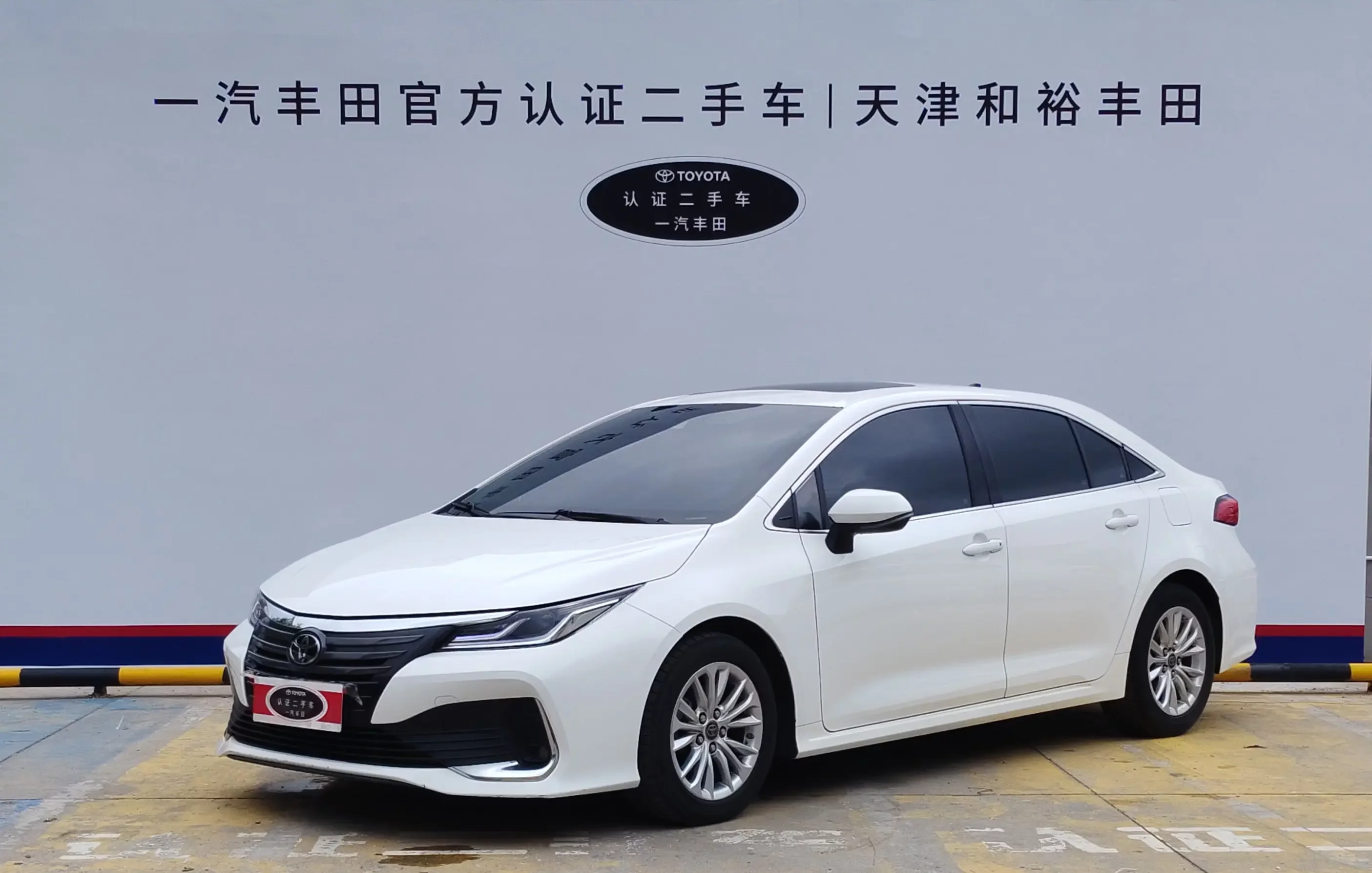 Toyota Asiatic lion