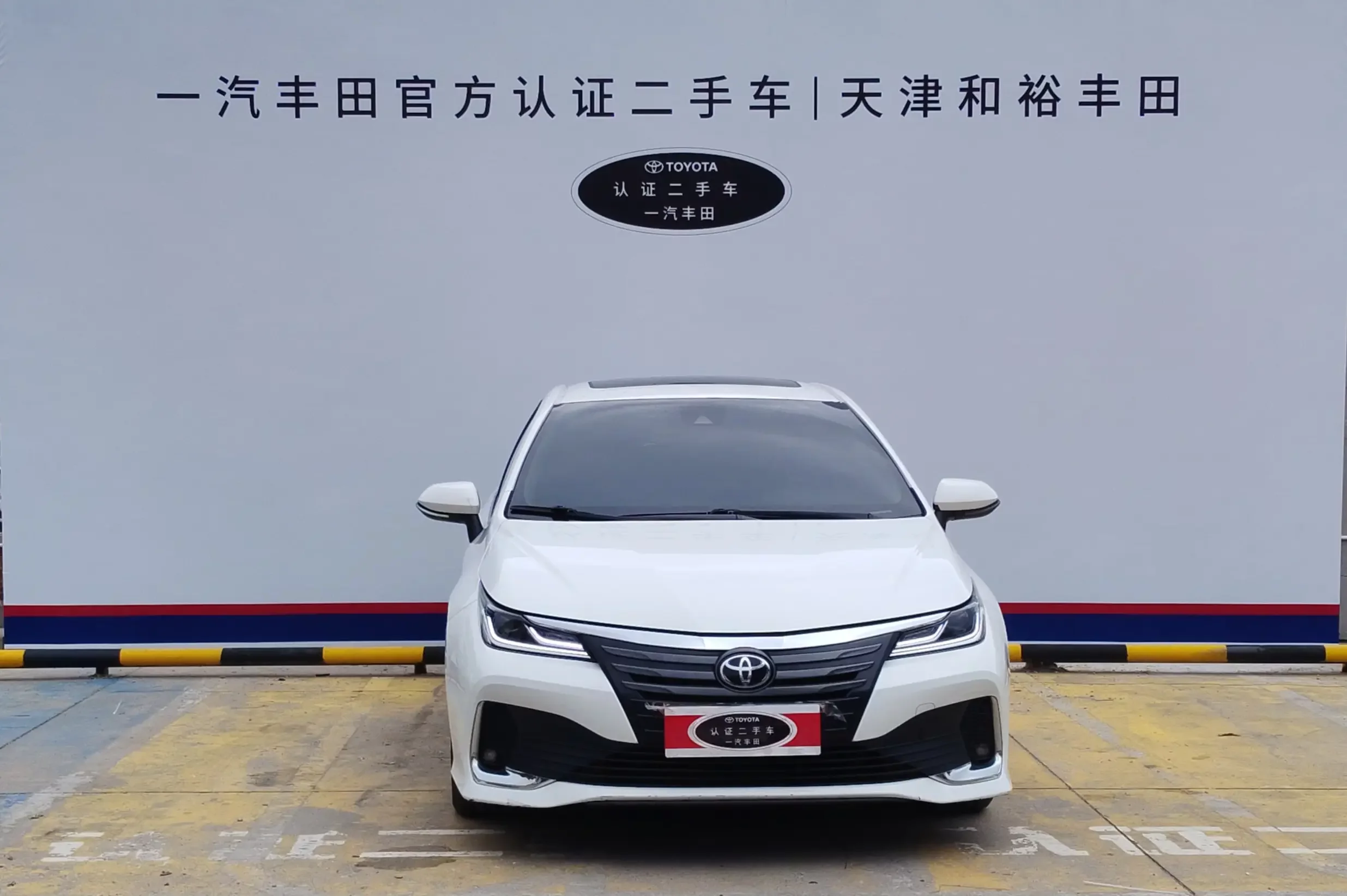 Toyota Asiatic lion