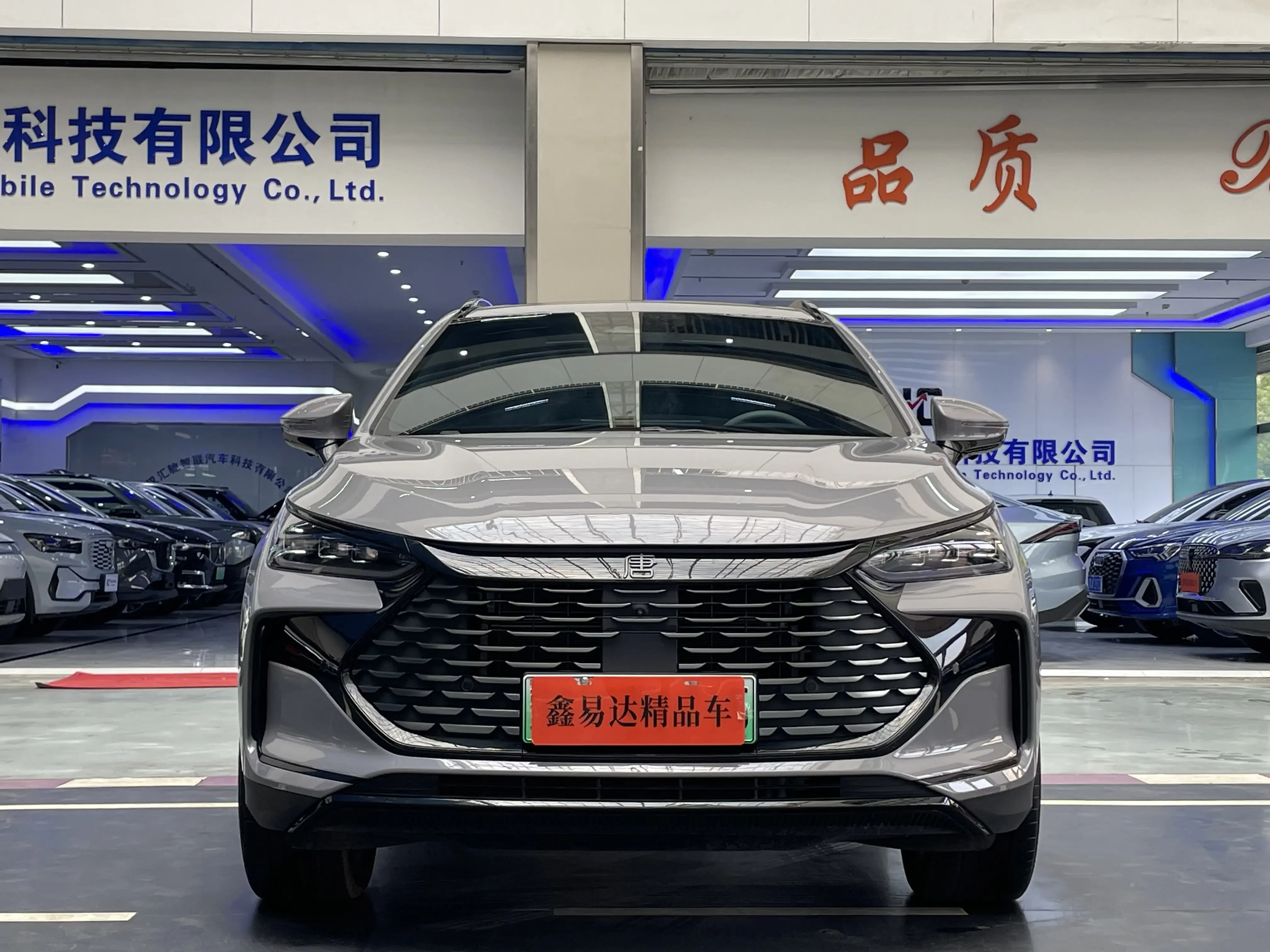 BYD Tang DM