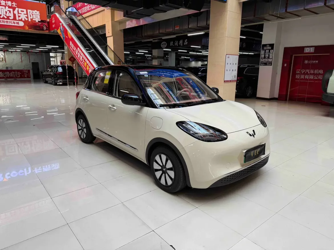 Wuling Bingo