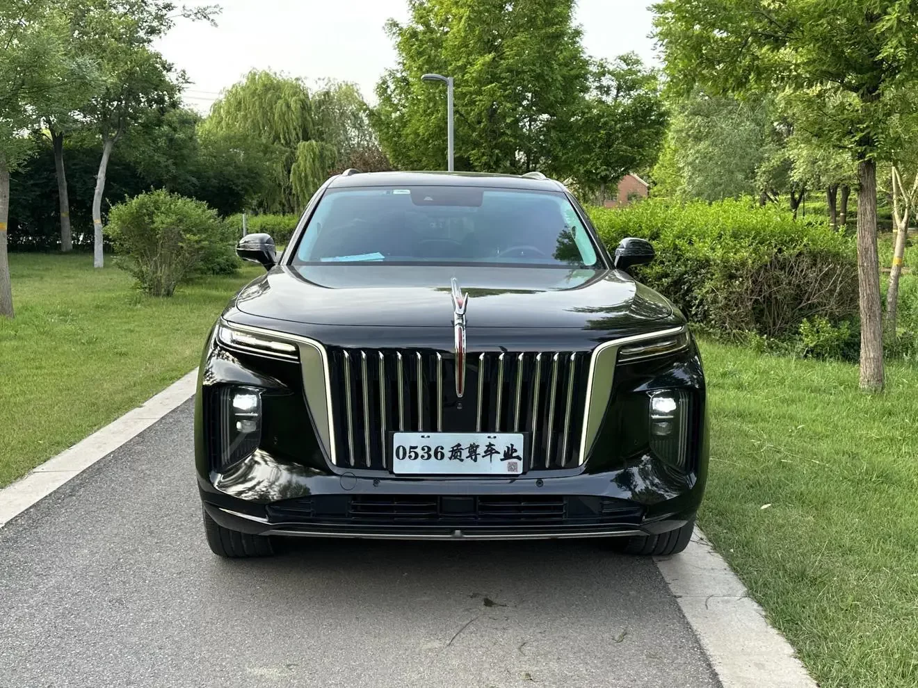 Hongqi E-HS9