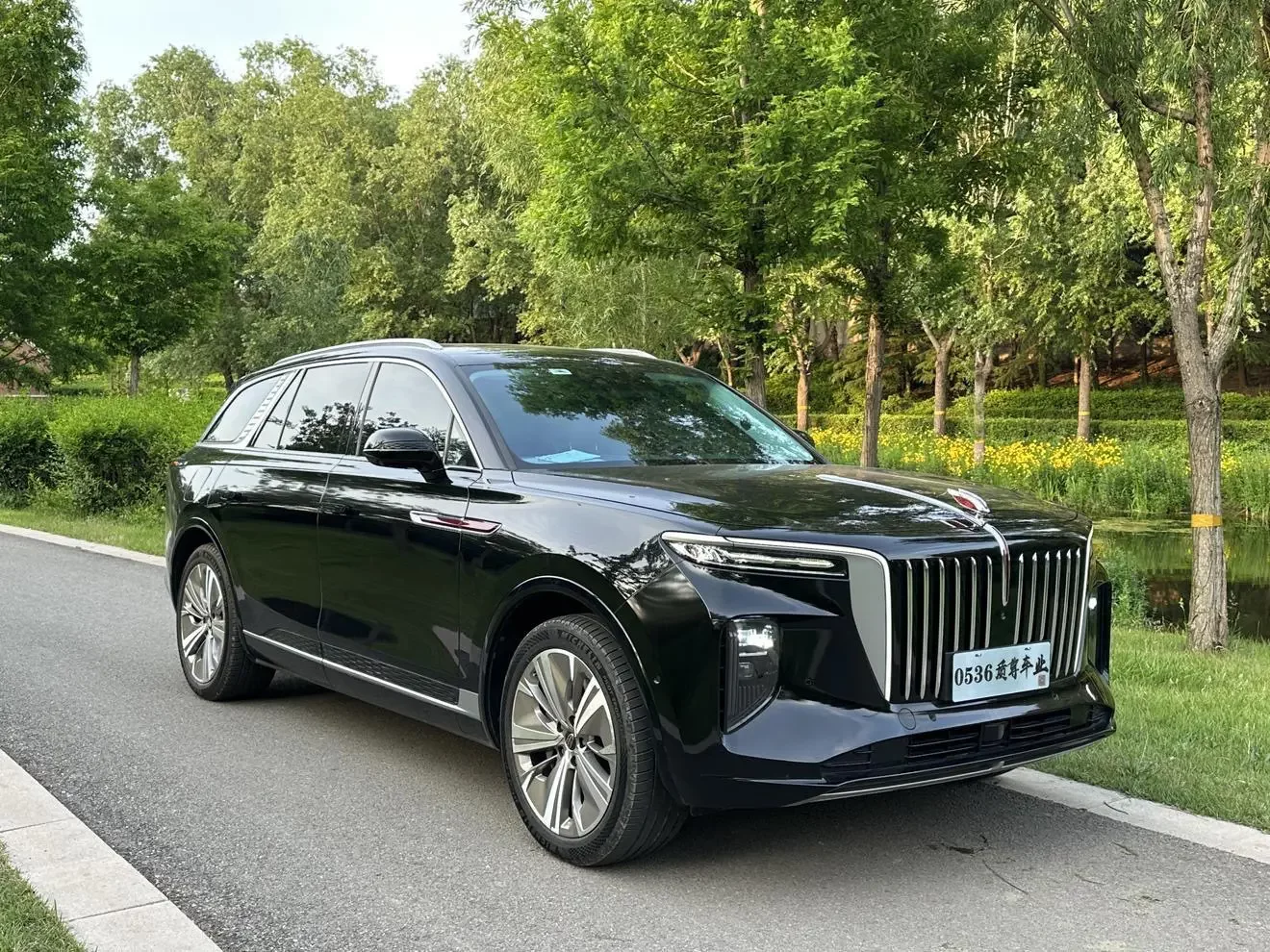 Hongqi E-HS9