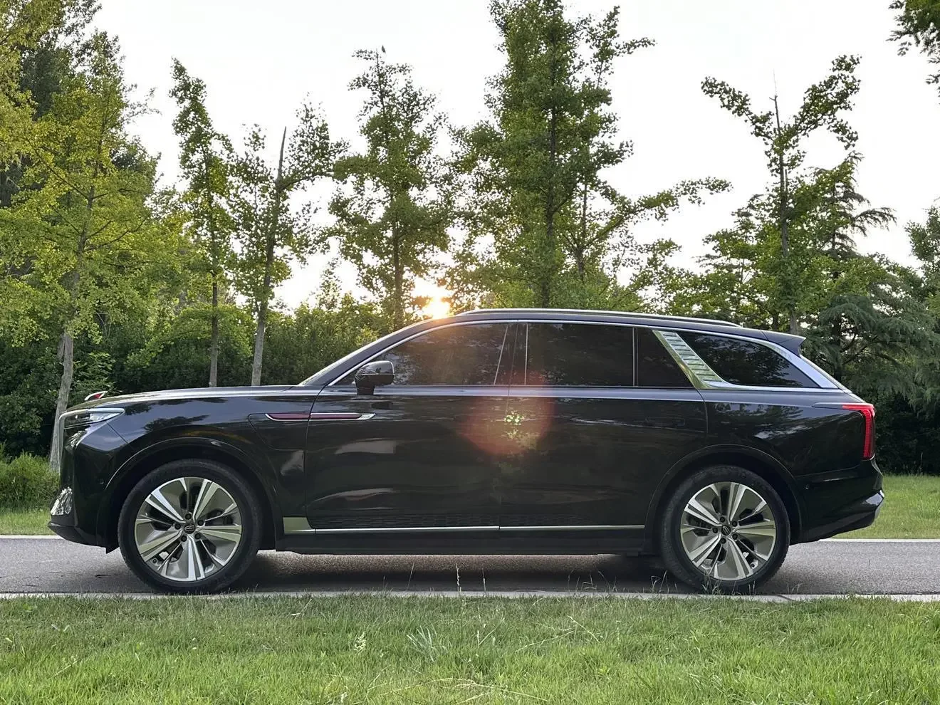 Hongqi E-HS9