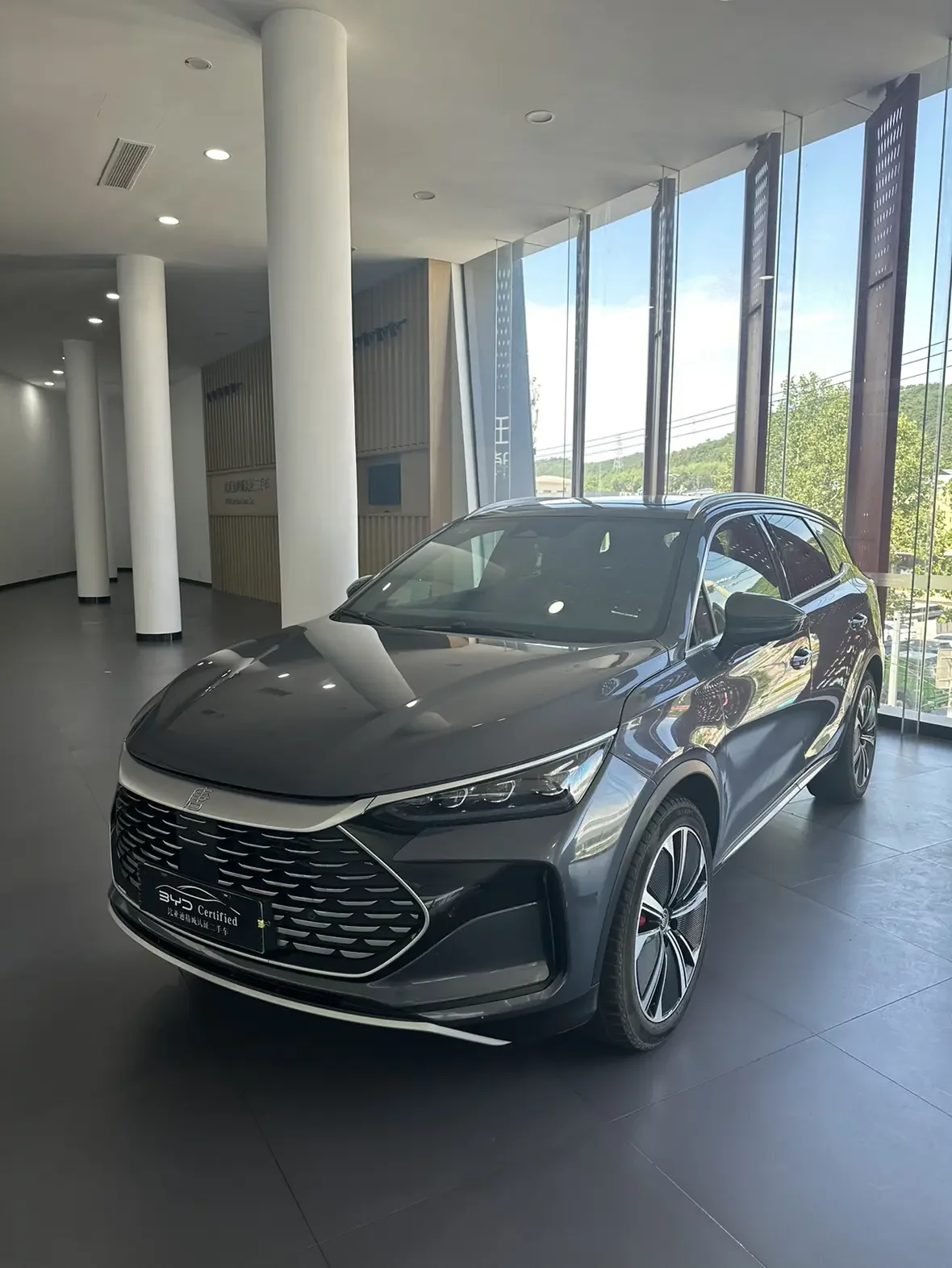 BYD Tang DM