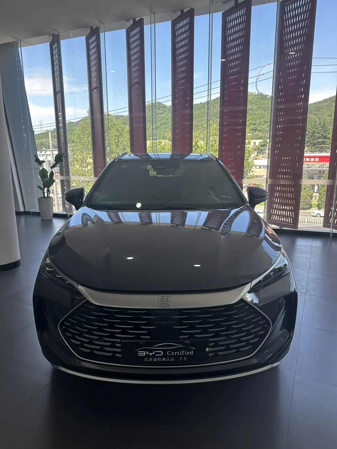 BYD Tang DM