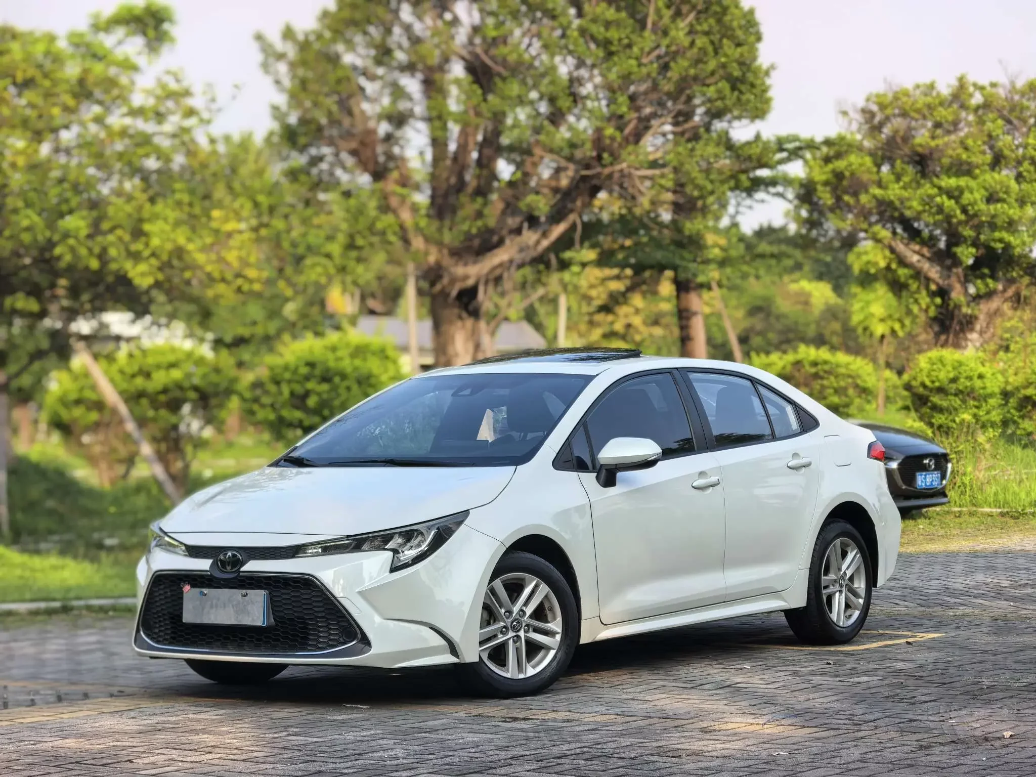Toyota Levin
