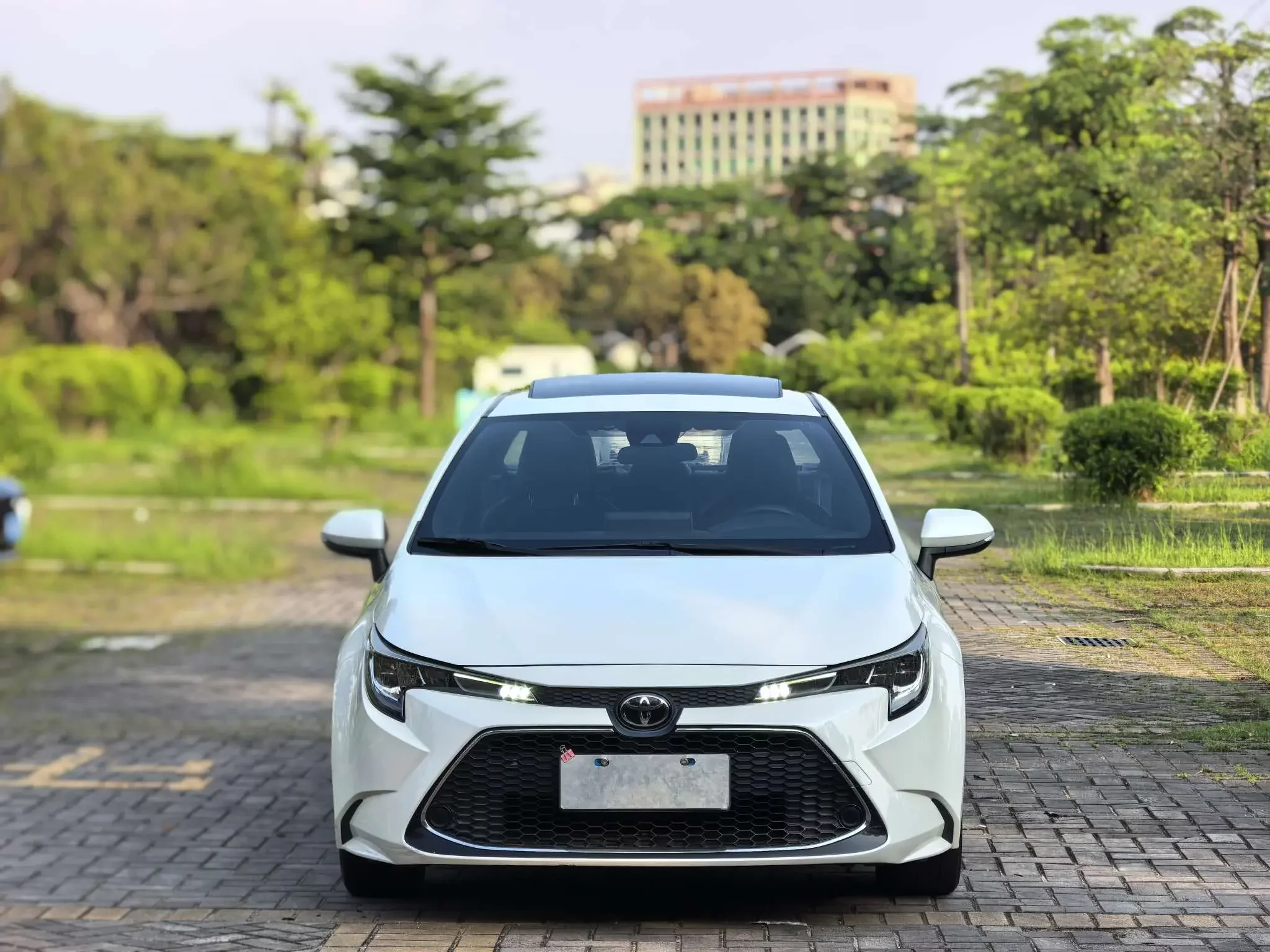 Toyota Levin