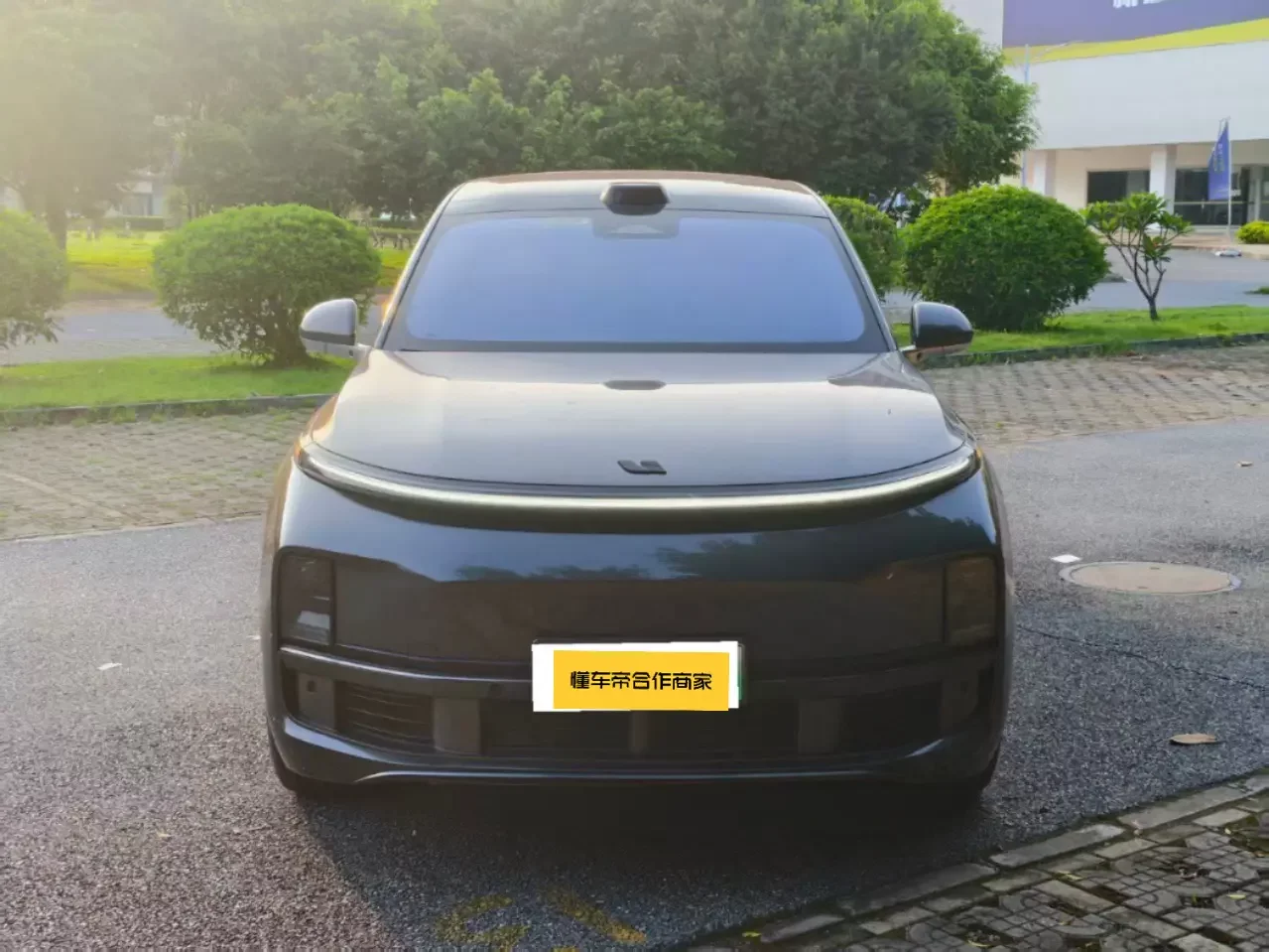 Lixiang L9